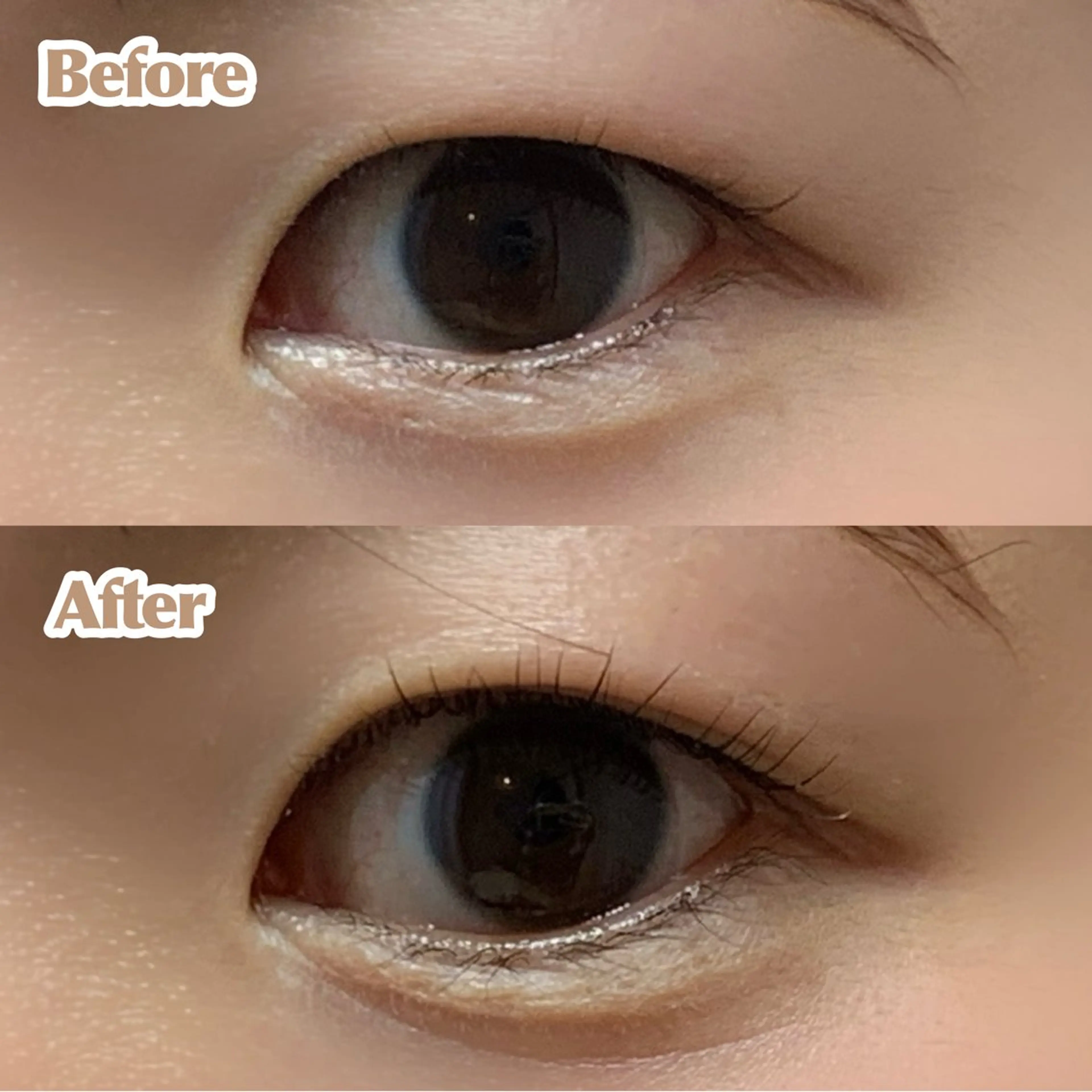 マツエク・マツパ マツパ 【ANEMONA】 NIHOの眉毛・アイブロウイメージ