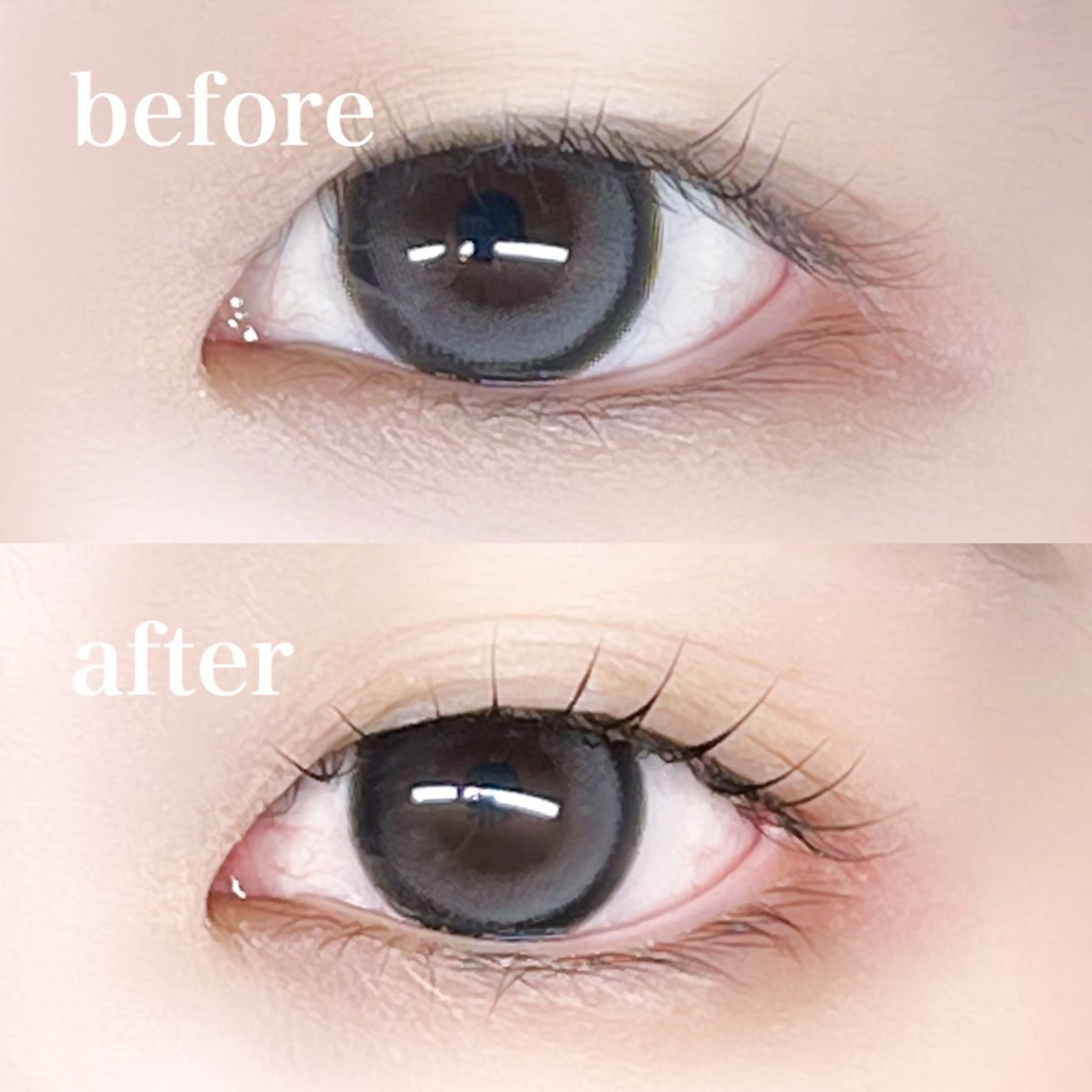 🫧ちゅるちゅる潤いまつ毛パーマ（トリートメント付き）🫧【補足説明必須】の写真