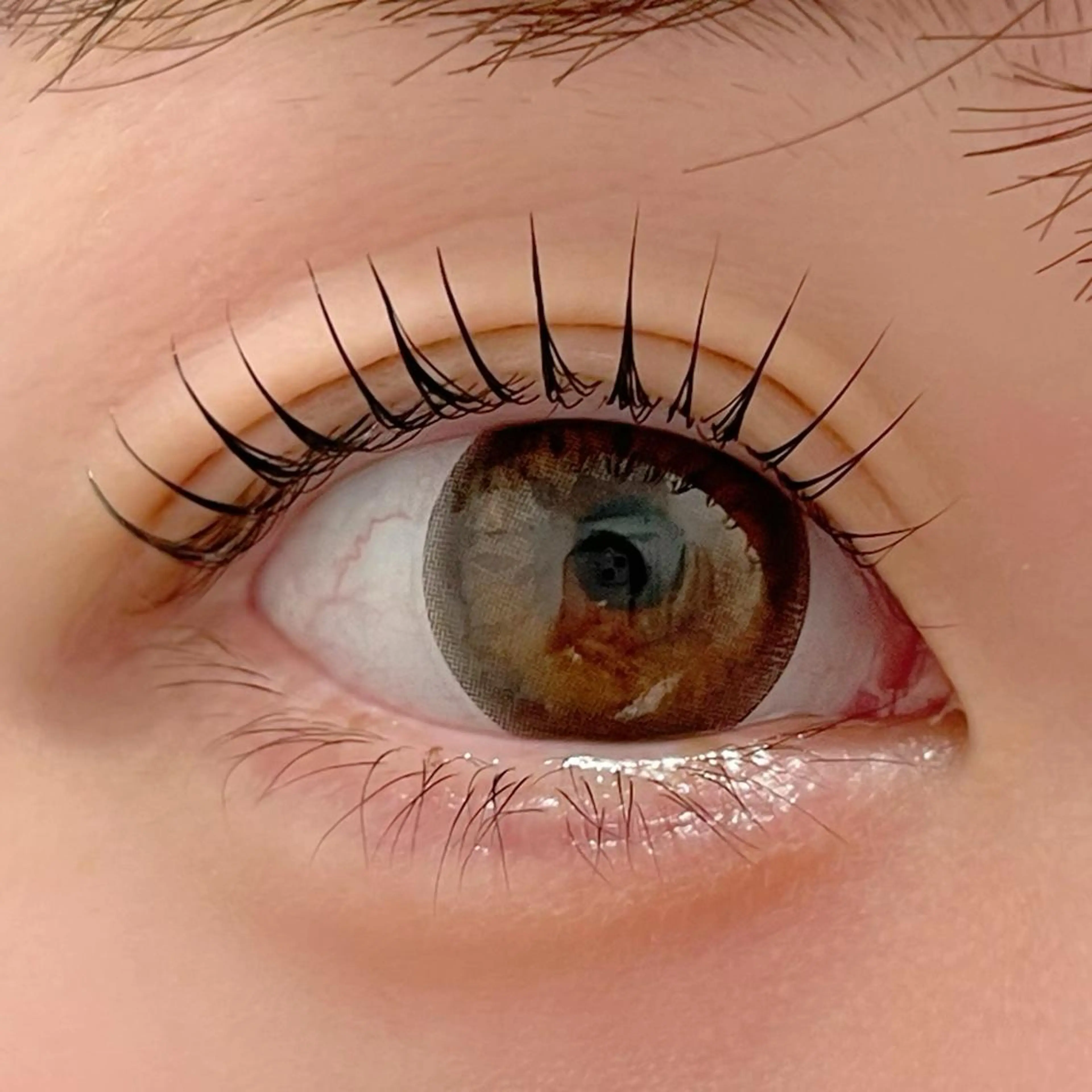 マツエク・マツパ まつげパーマ ai一重専門🎀束感 まつげ🫧表参道のマツエク・マツパデザイン