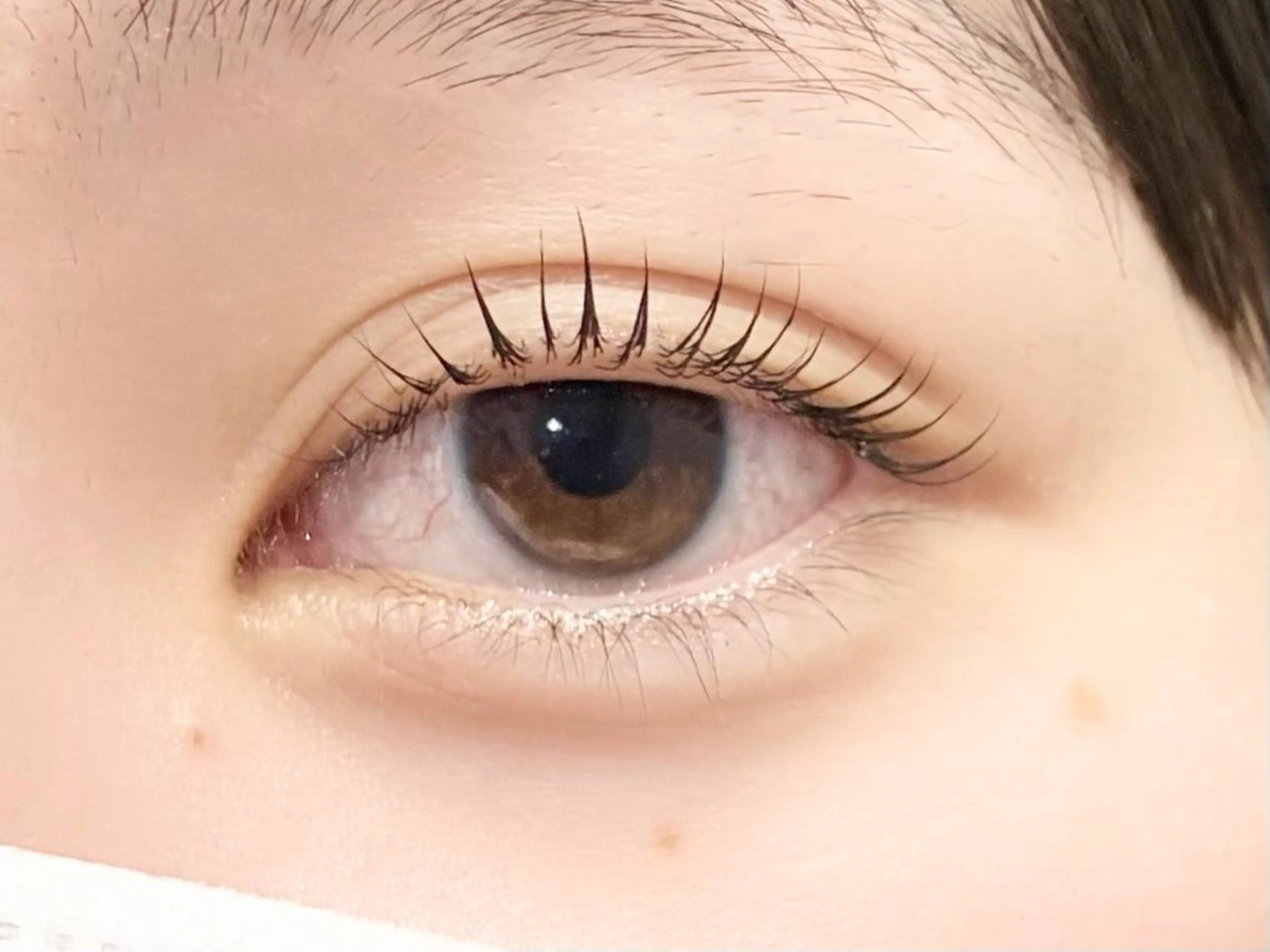 マツエク・マツパ ナチュラル マツパ 中村彩香 (エフドゥ)のマツエク・マツパデザイン