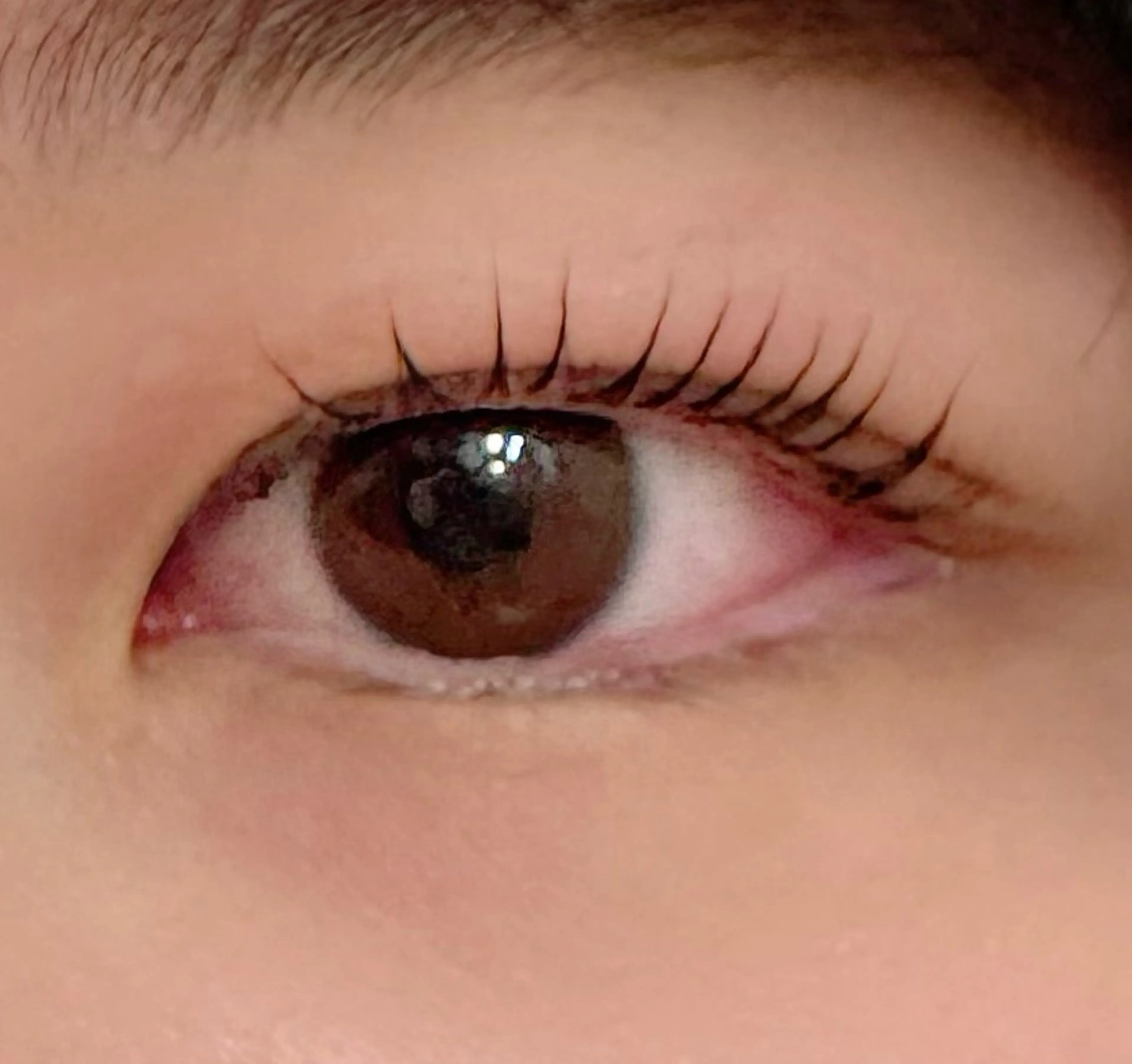 マツエク・マツパ ココラッシュ所属・ココラッシュ🤍 Hinakoのマツエク・マツパデザイン