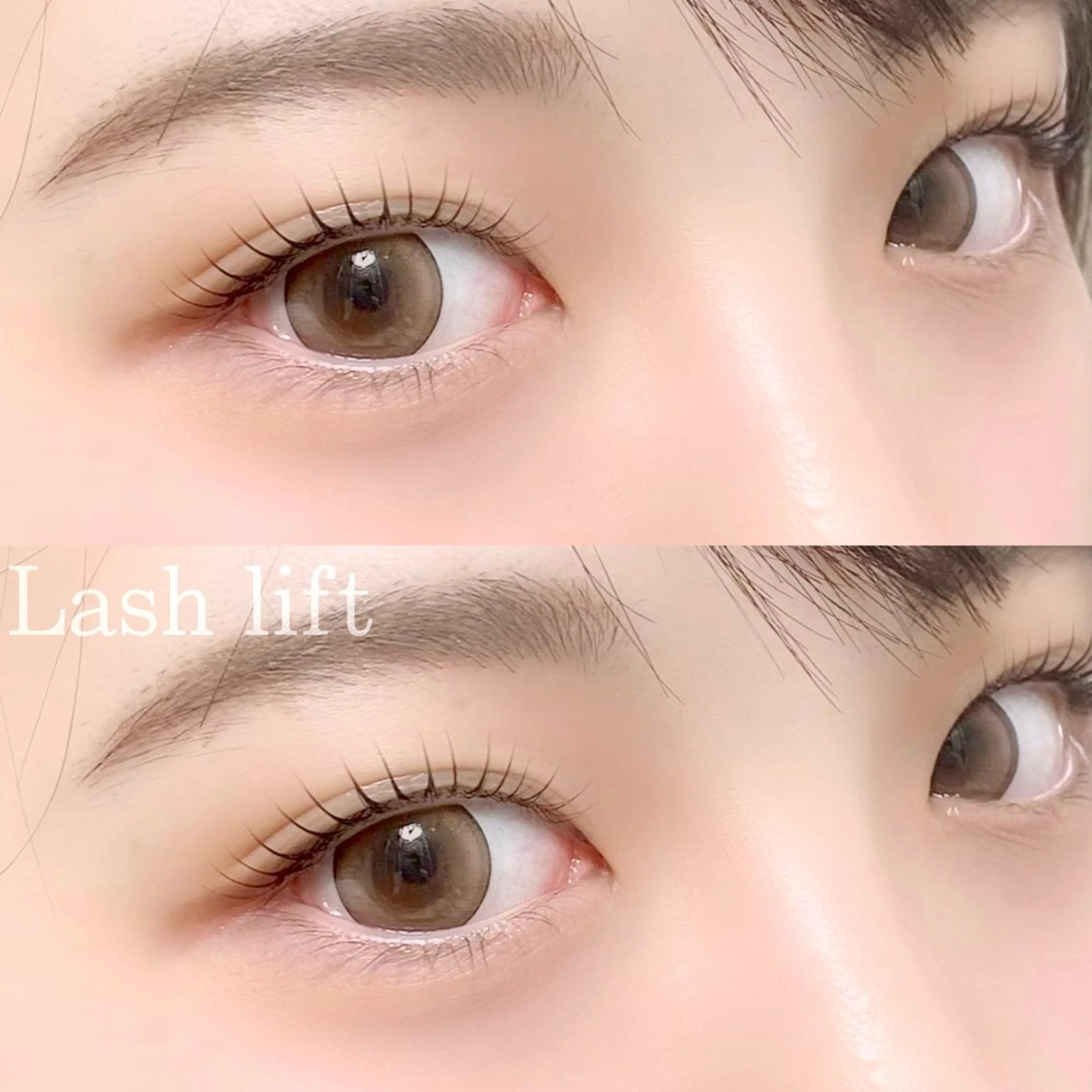マツエク・マツパ eyelash "Koa"🕊🤎のマツエク・マツパデザイン