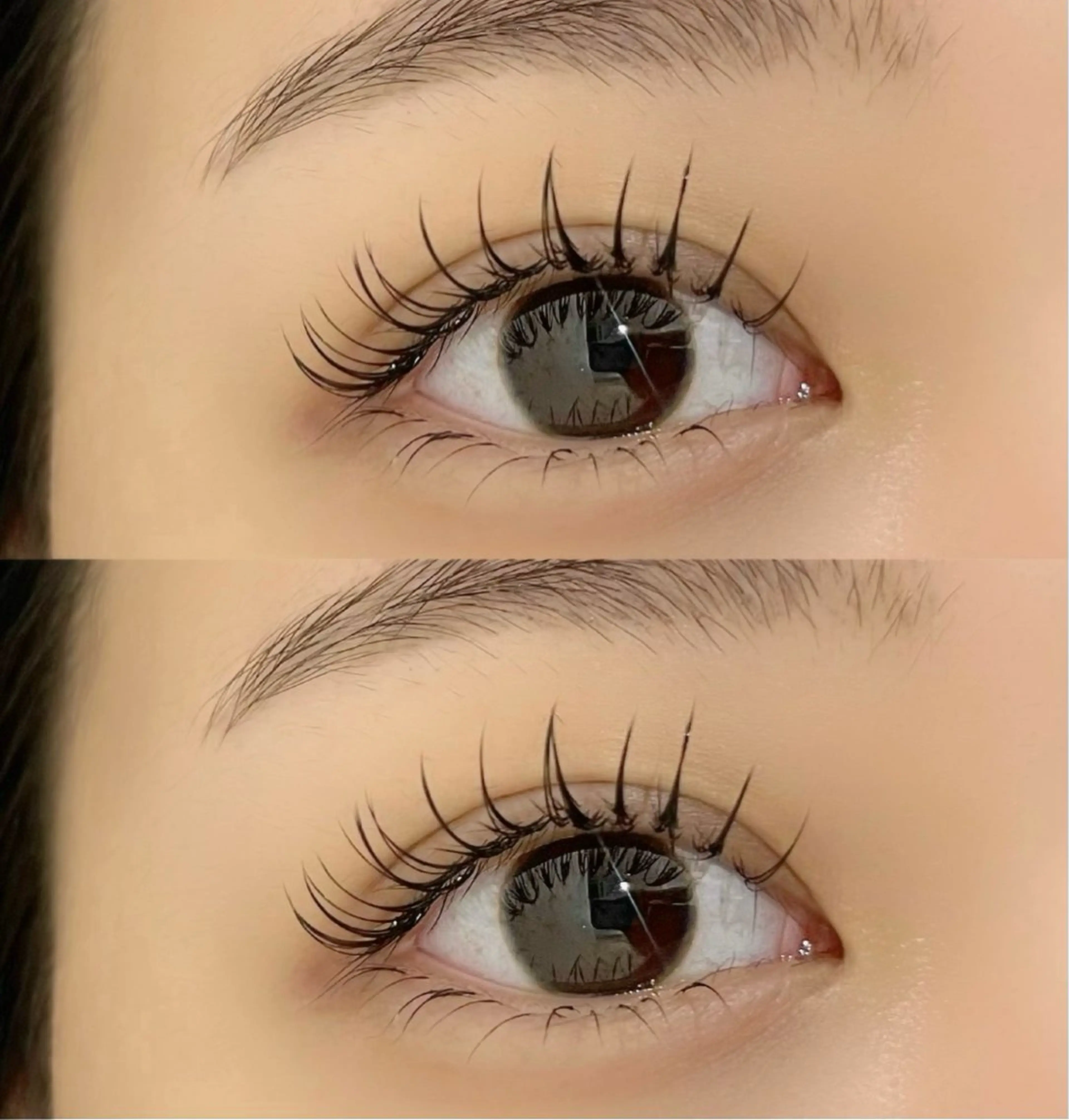 LEDエクステ★フラットラッシュ140本🌟の写真