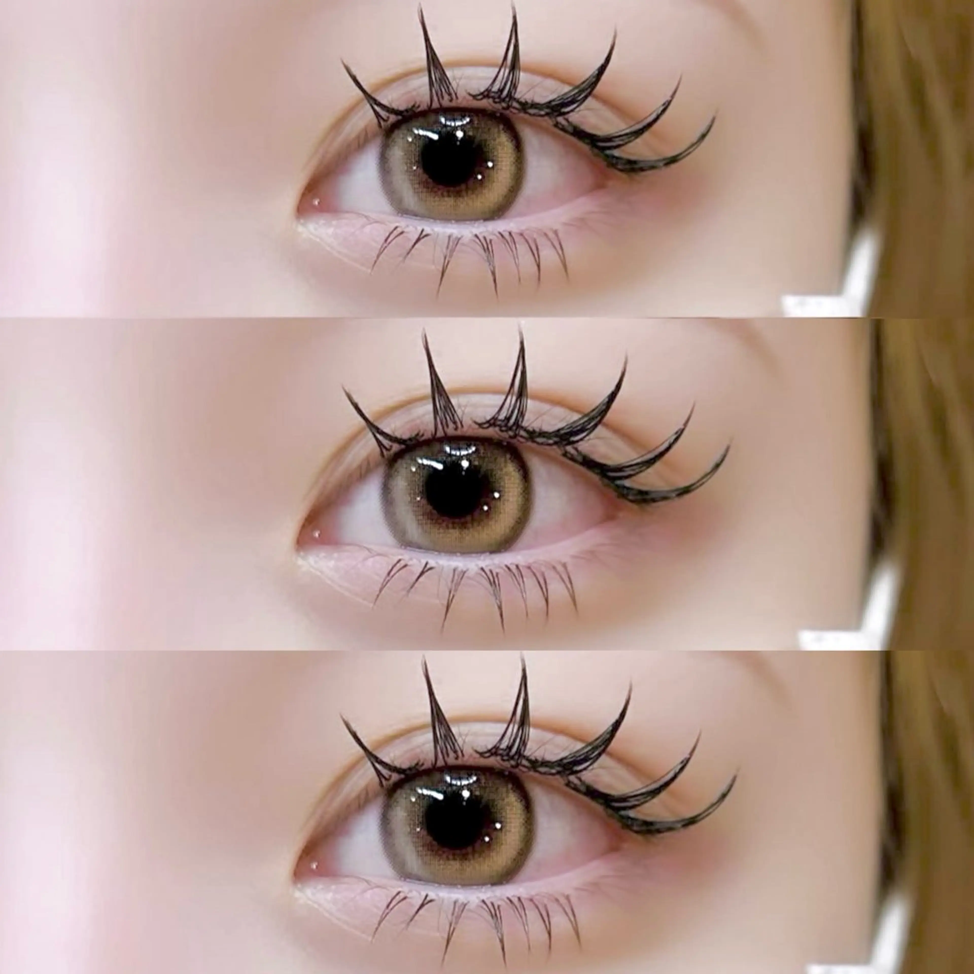 《持ち最強✨》バインドロック80束(240本)の写真