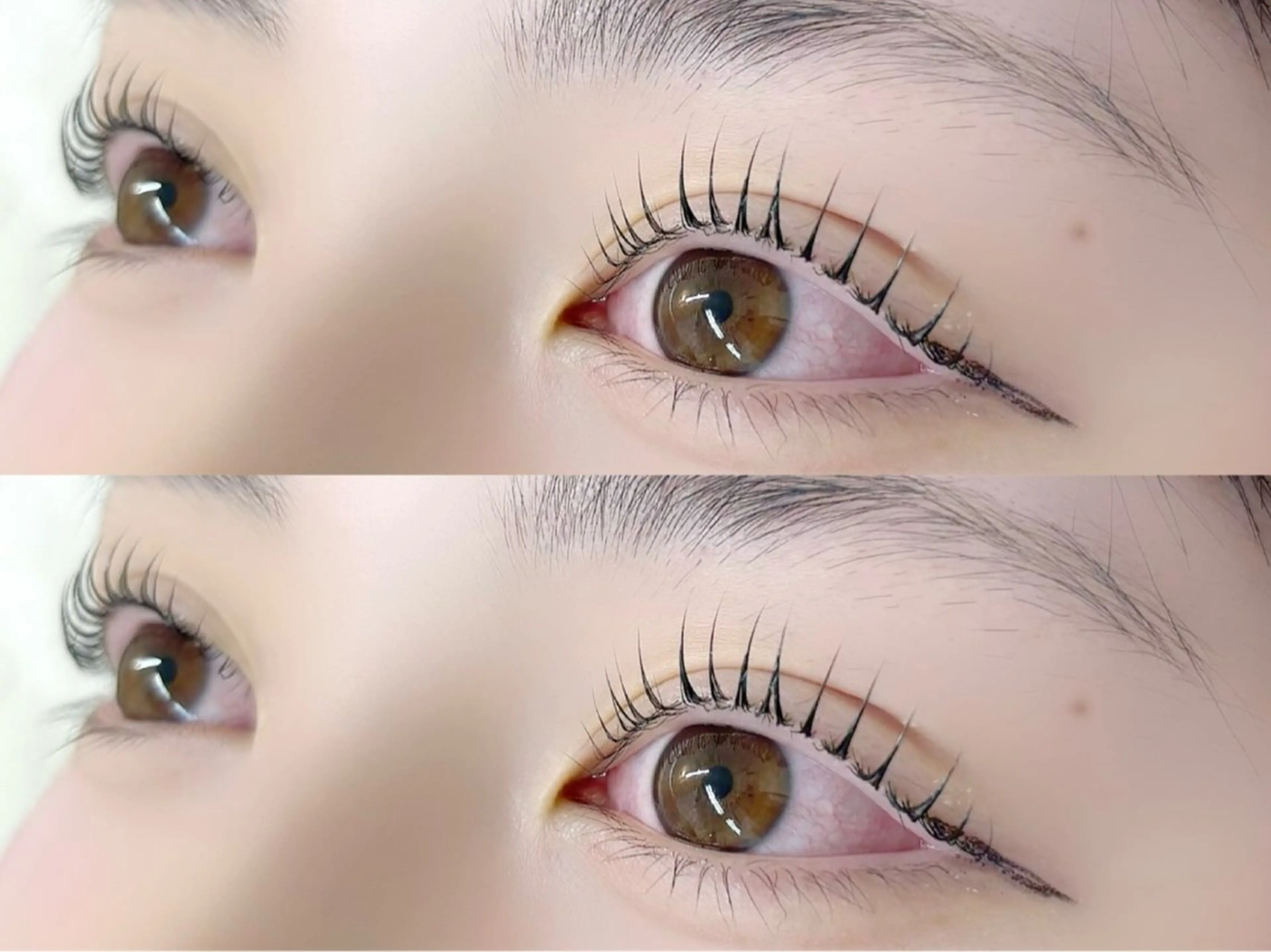 ご新規様限定👑パリジェンヌラッシュリフトの写真