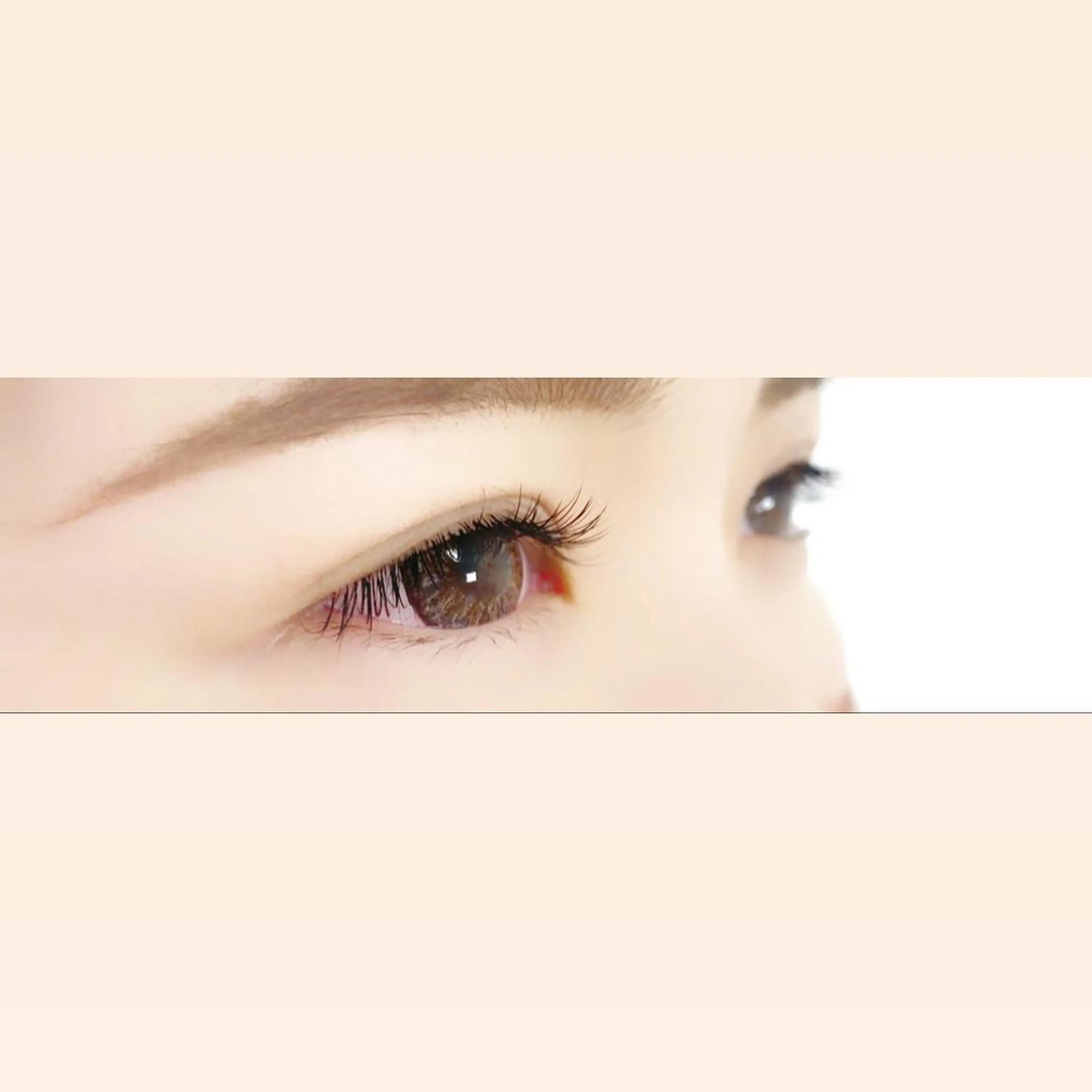 ãããšã¯ã»ããã ãããšã¯ MAHALO ðã®ãããšã¯ã»ããããã¶ã€ã³