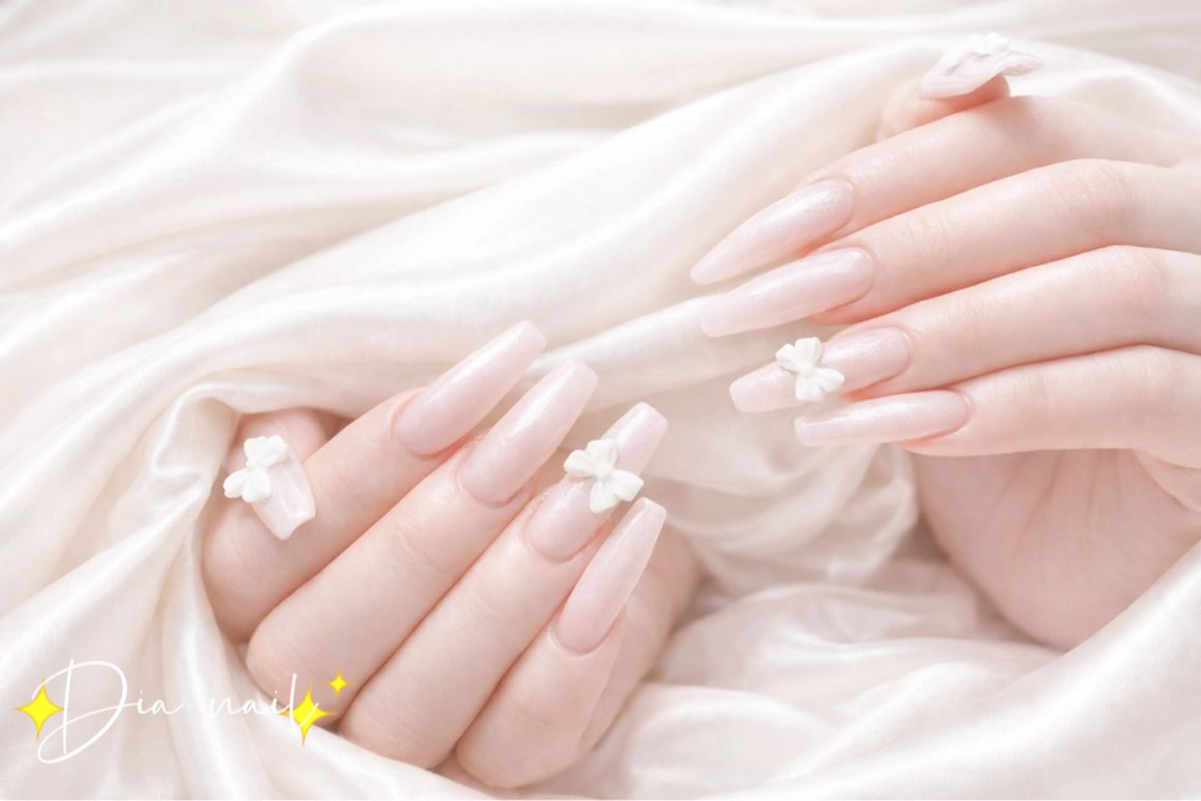 ネイル チークネイル ジェルネイル グラデーション マグネットネイル ニュアンスネイル Di'a nail ネイルサロンのネイルデザイン