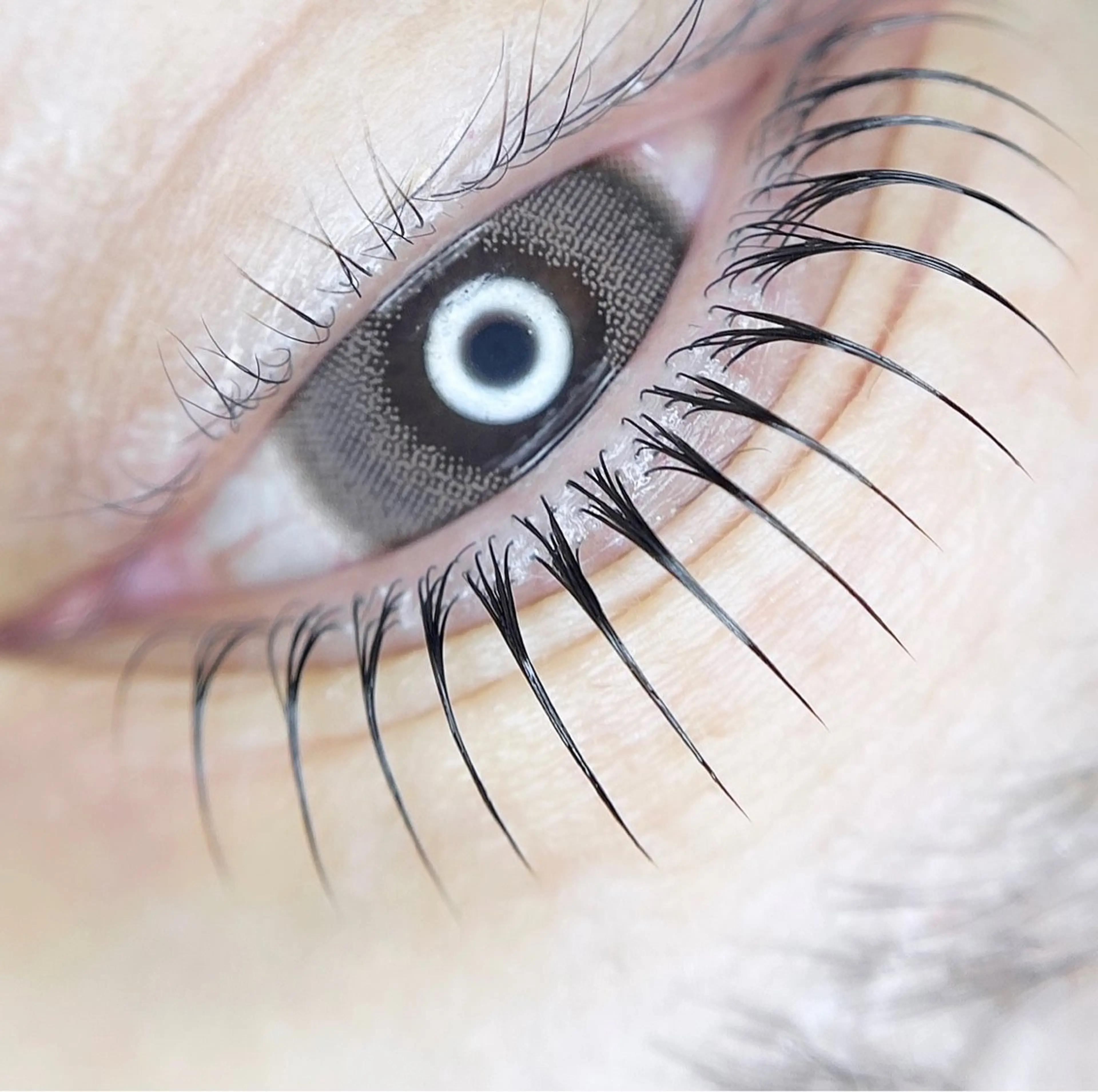 マツエク・マツパ アイラッシュサロン エルアのマツエク・マツパデザイン