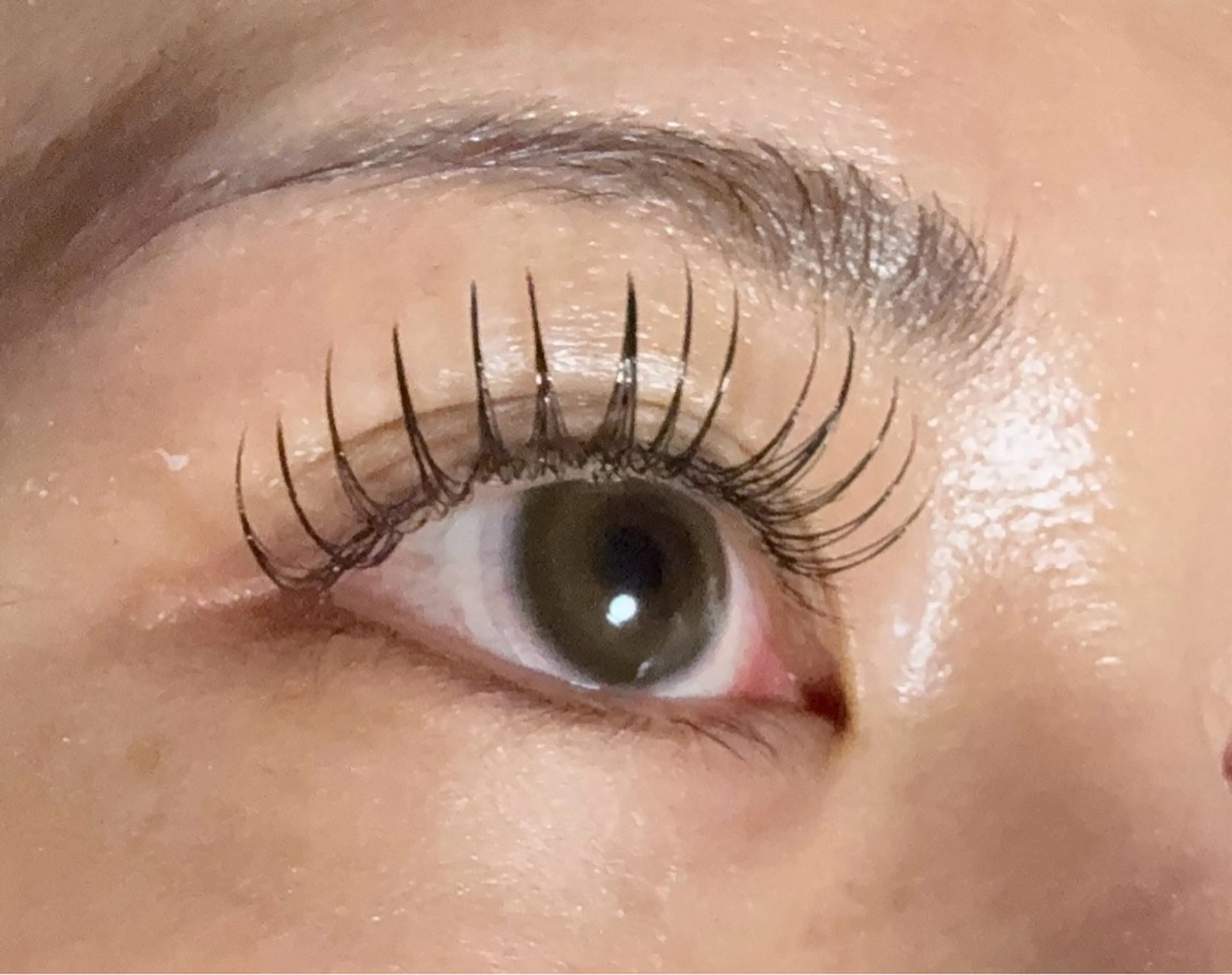 マツエク・マツパ 付け放題 束感まつ毛 フラットラッシュ マツエク churara チュララのマツエク・マツパデザイン