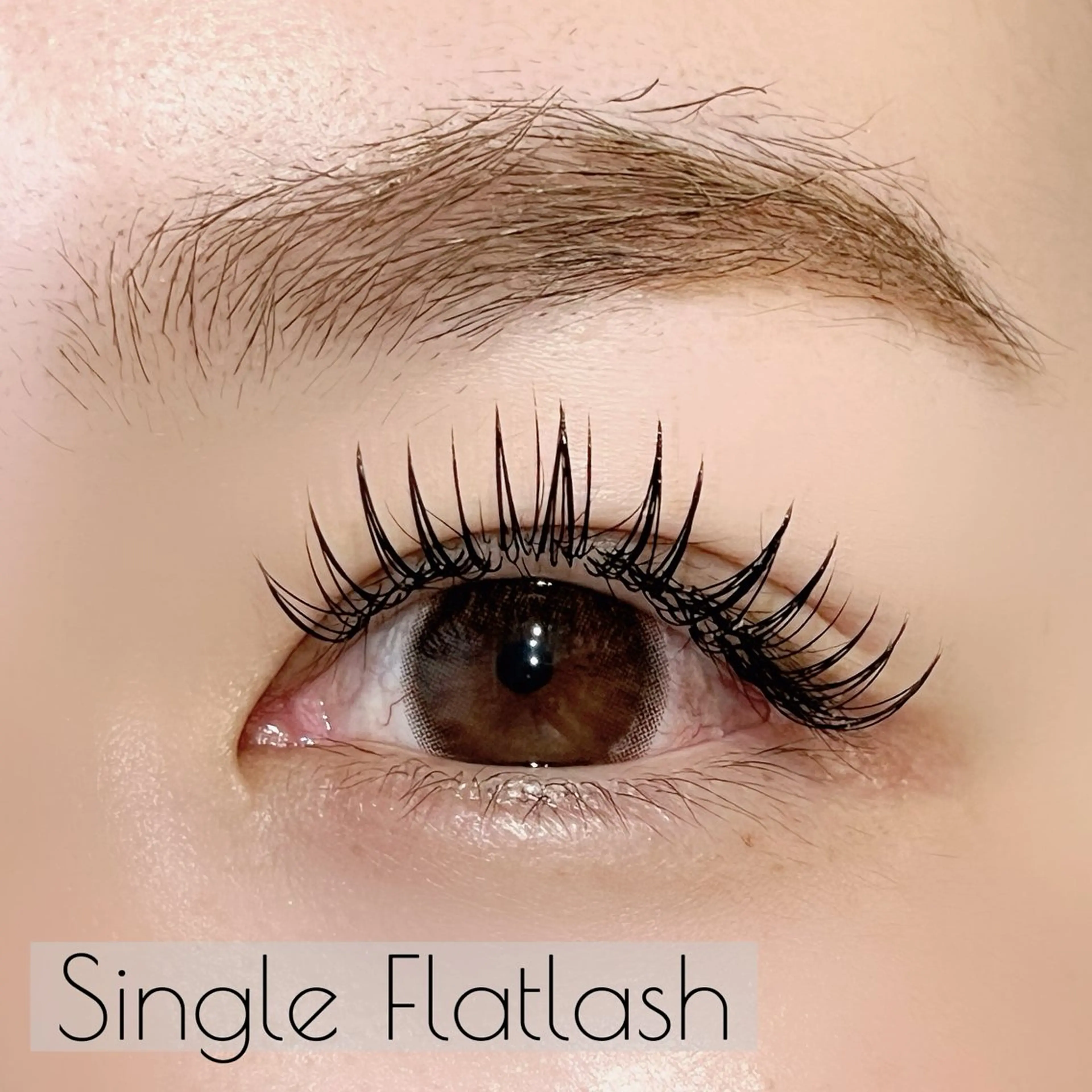 マツエク・マツパ ꒰ঌTORCH໒꒱ HAINEのマツエク・マツパデザイン