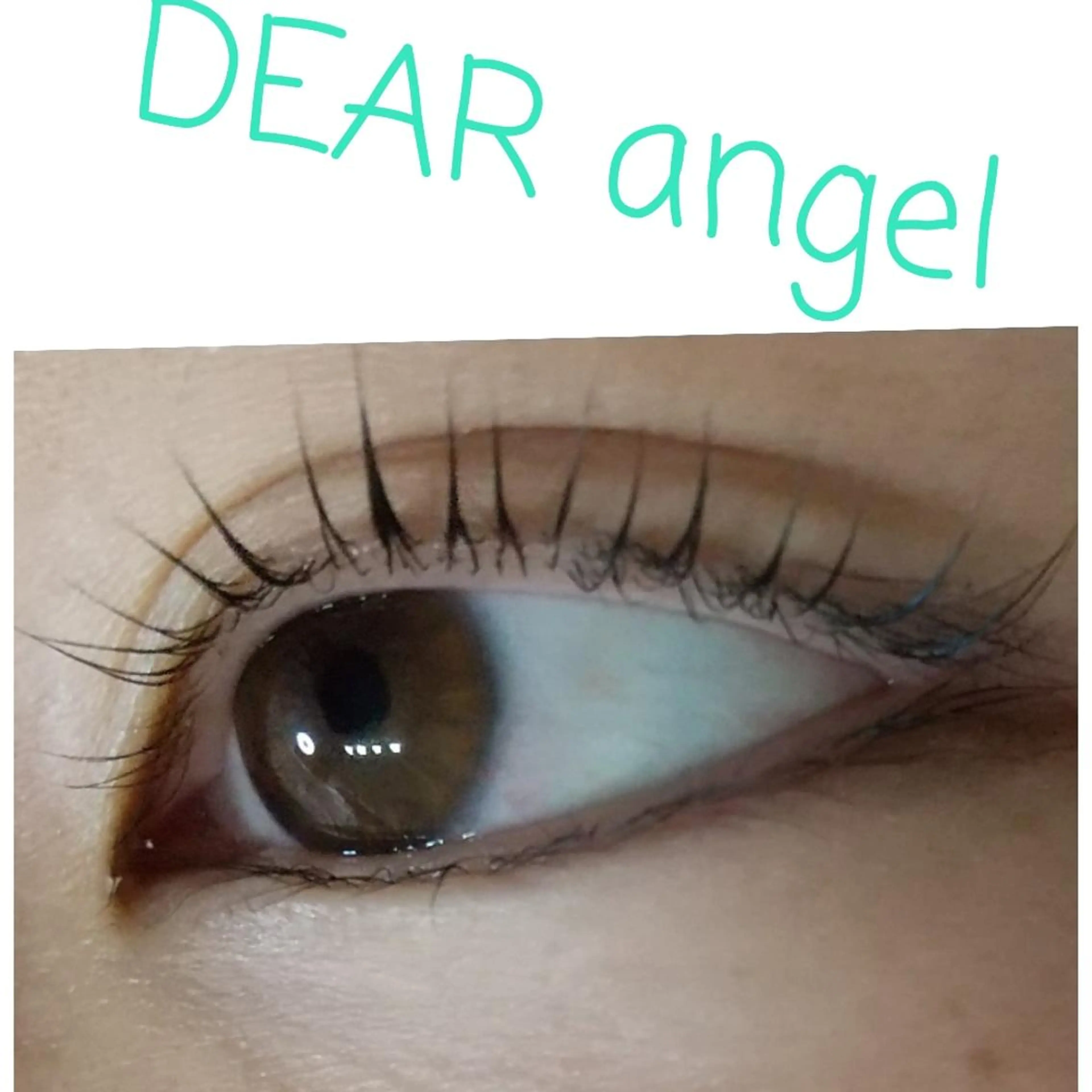 ハイブリッドラッシュリフトの写真