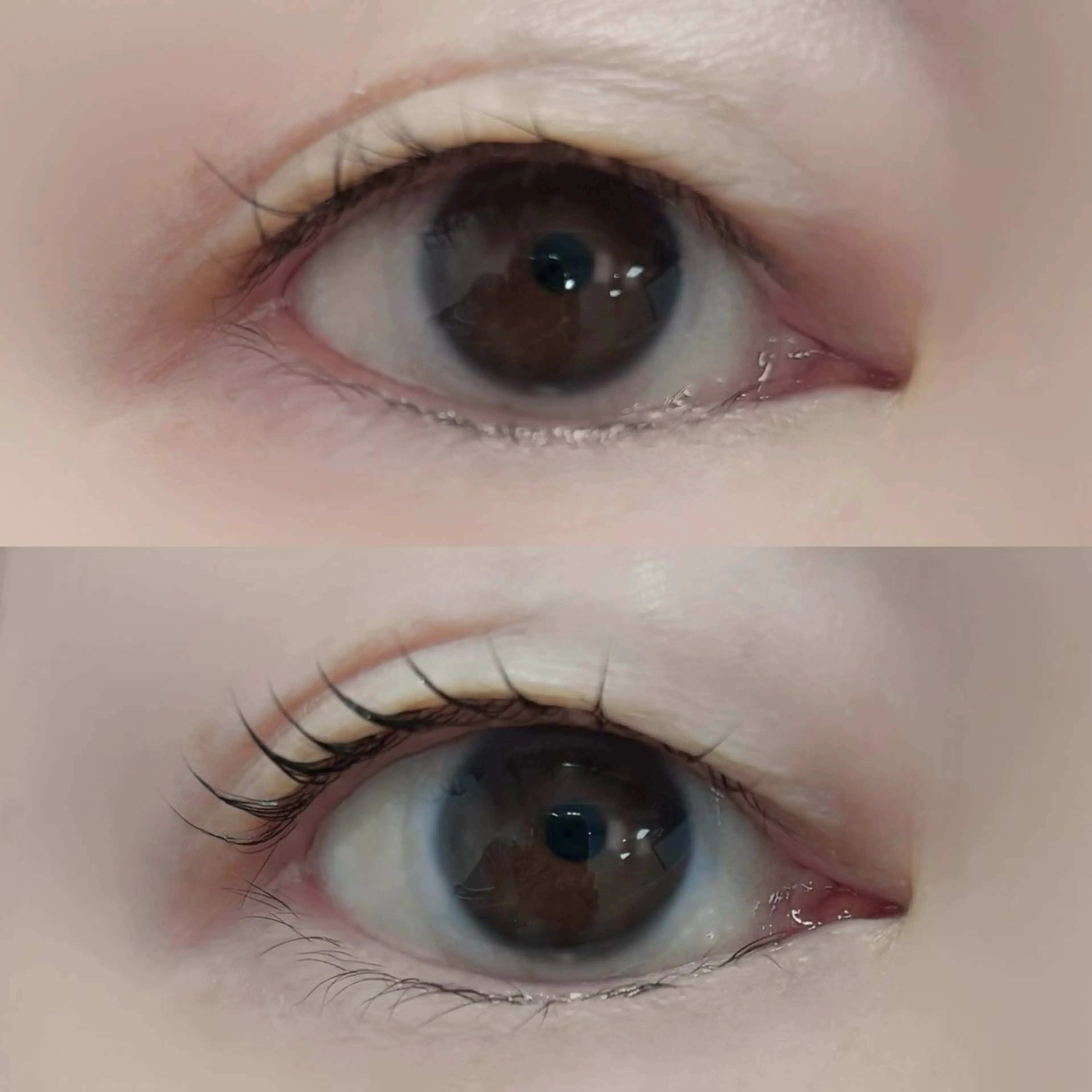 マツエク・マツパ マツパ 🏵️tico@ Risa🏵️のエステ・リラクイメージ