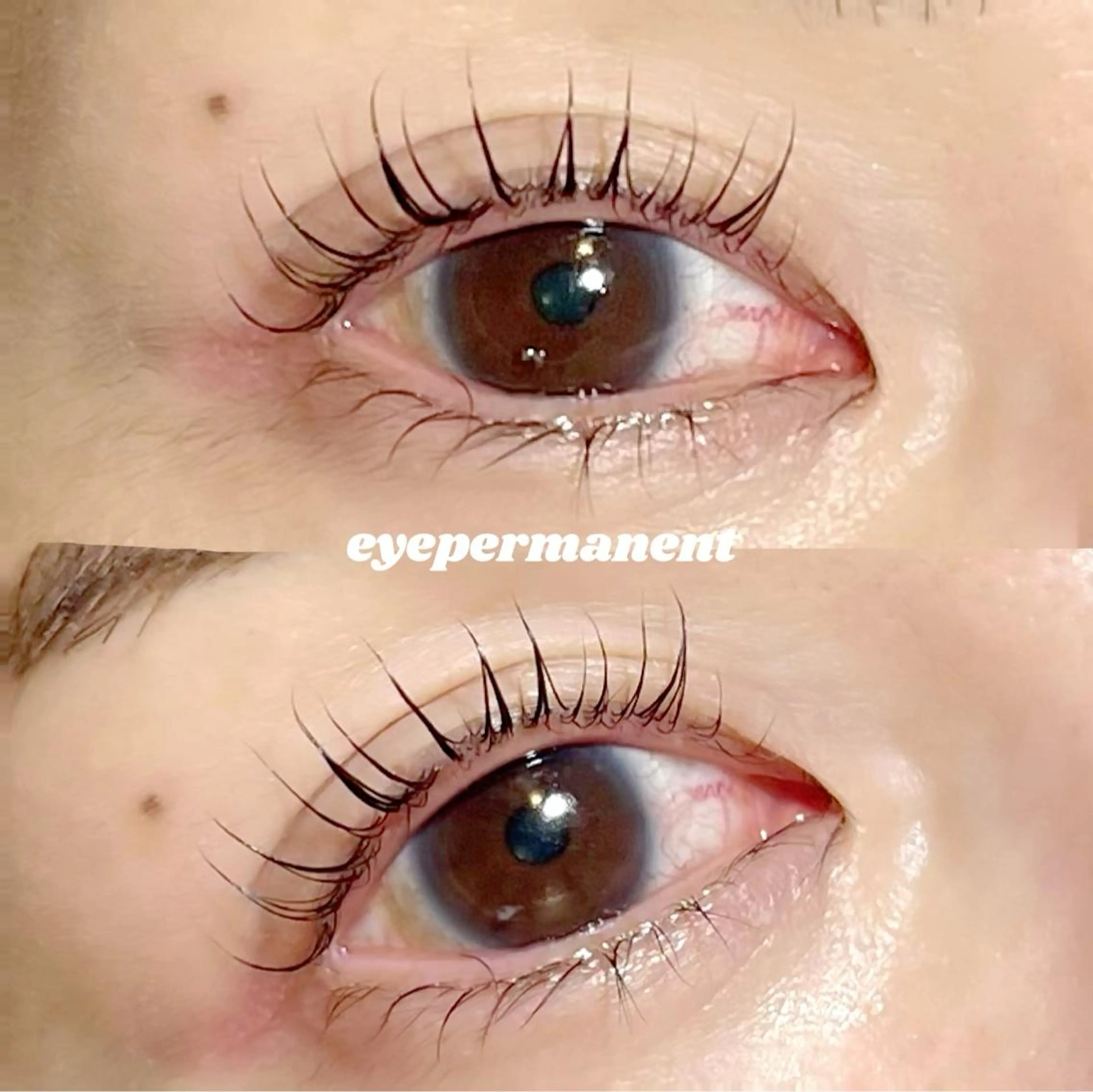 マツエク・マツパ マツパ mona 🎀韓国まつパ/眉毛のマツエク・マツパデザイン