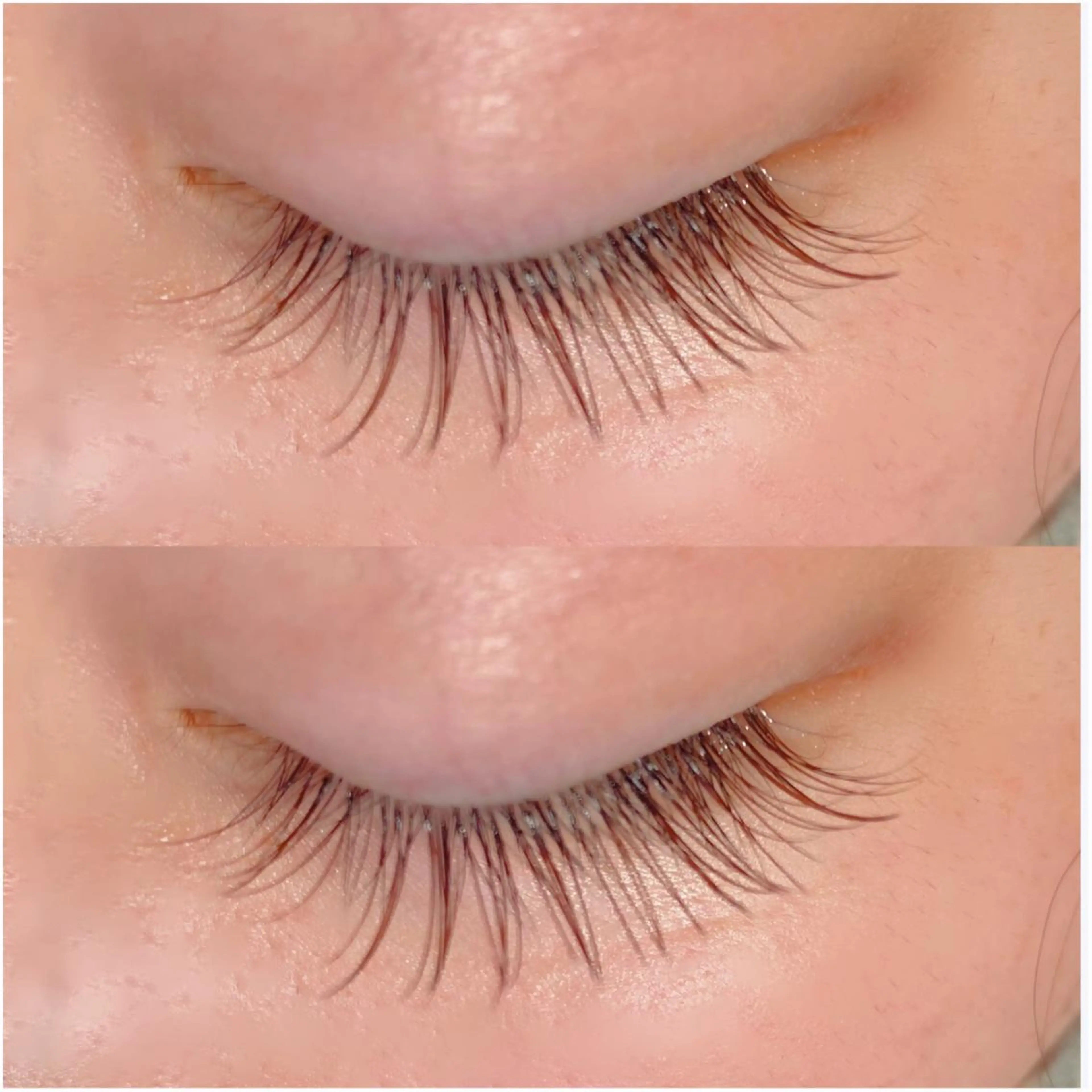 ◇フラットラッシュ〈ニュアンスブラウンカラー〉100​〜​120本[オフなし］✨トリートメントコーティング仕上げ✨の写真