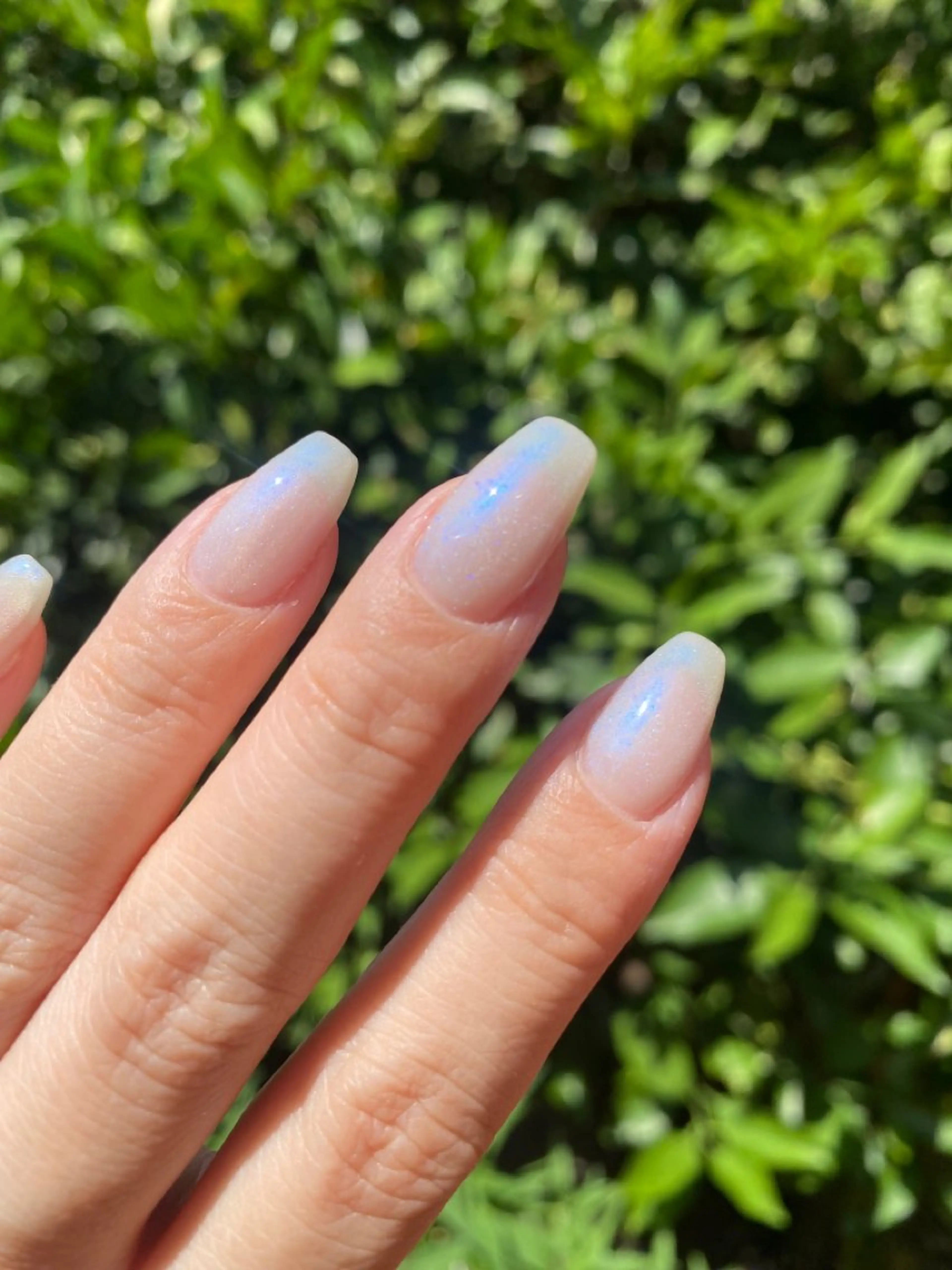 【初回ジェルオフ無料♪】話題のマグネットネイル🧲💅🏻の写真