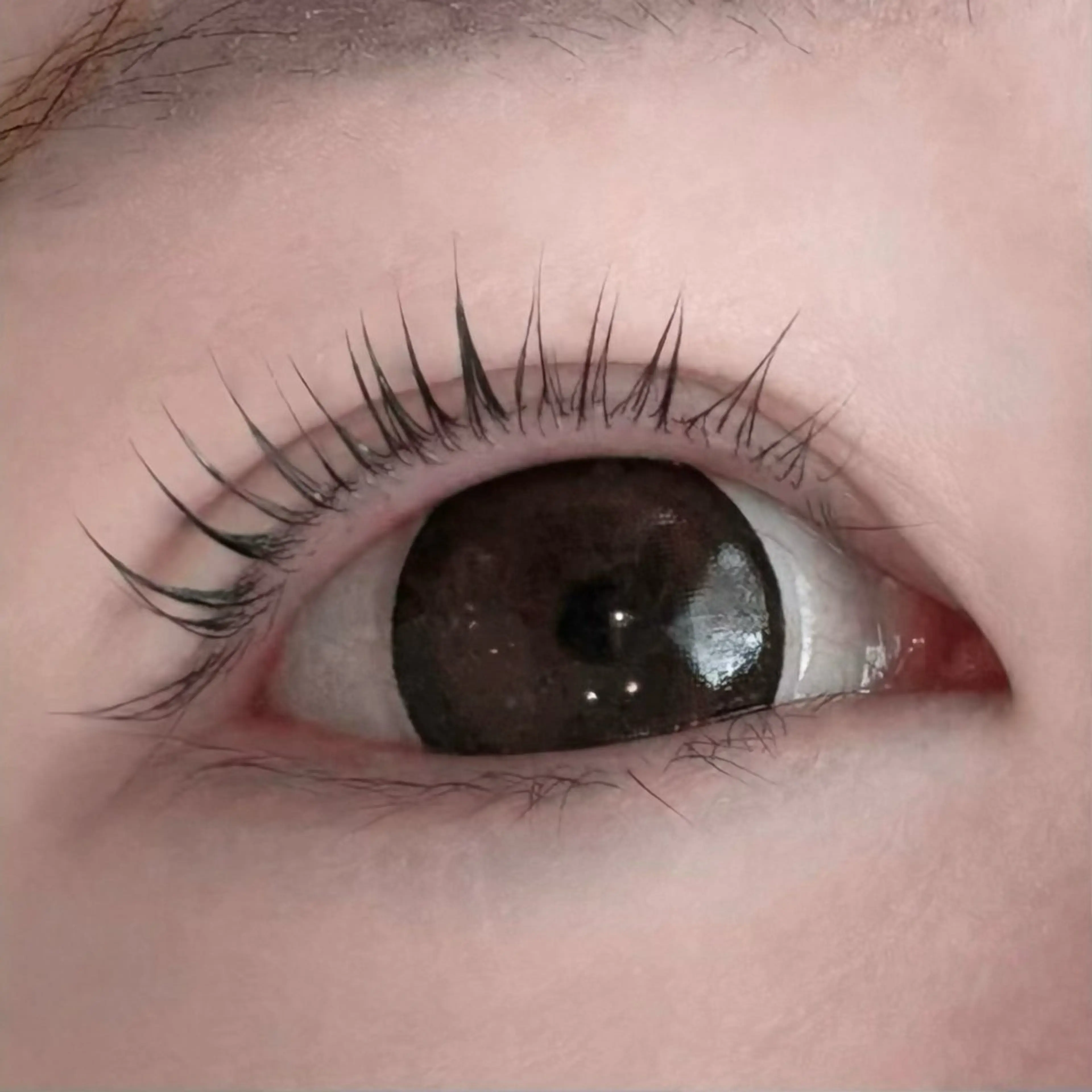 マツエク・マツパ 🤍sarah 今吉🤍のマツエク・マツパデザイン