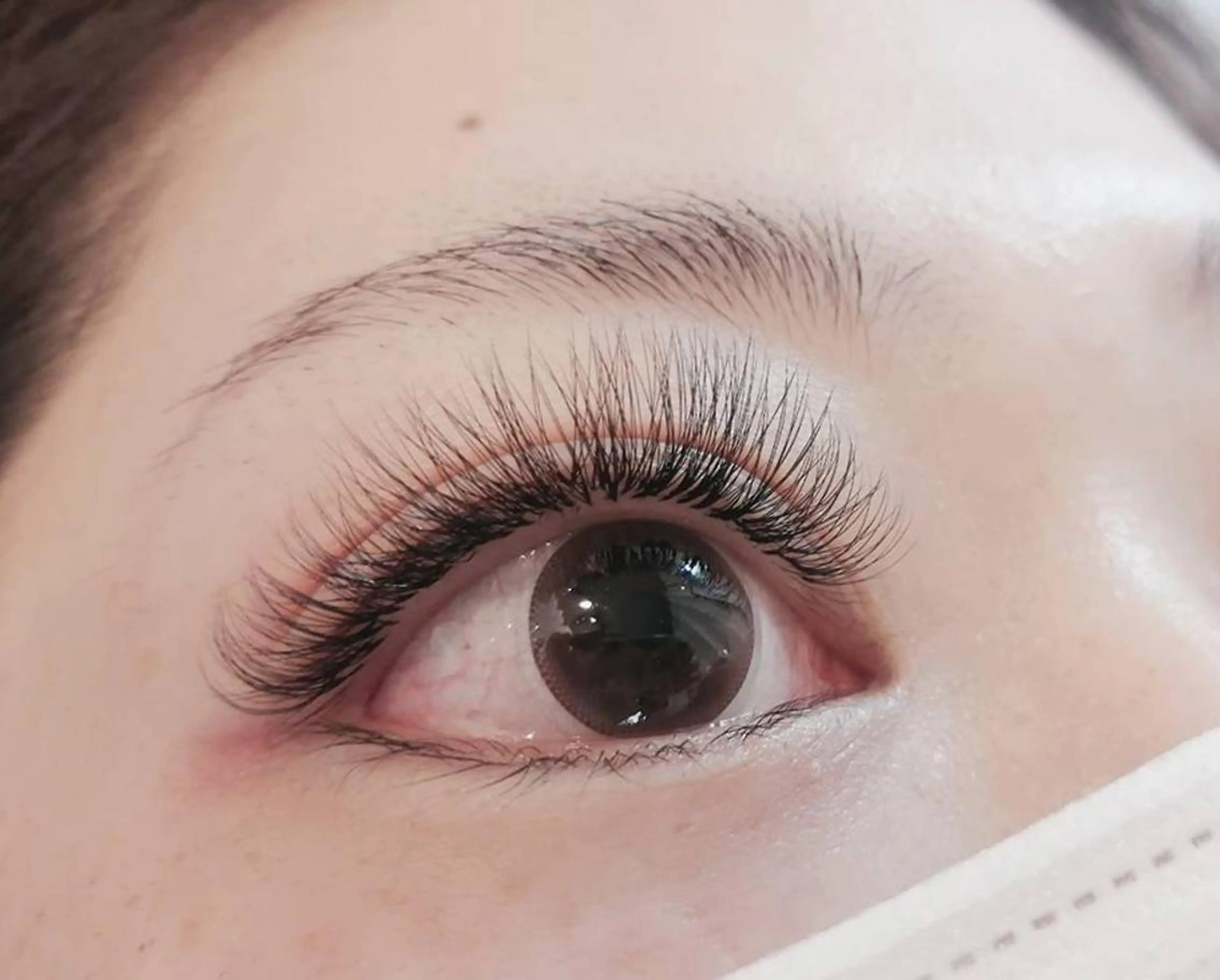 マツエク・マツパ マツエク Favori 田辺のマツエク・マツパデザイン