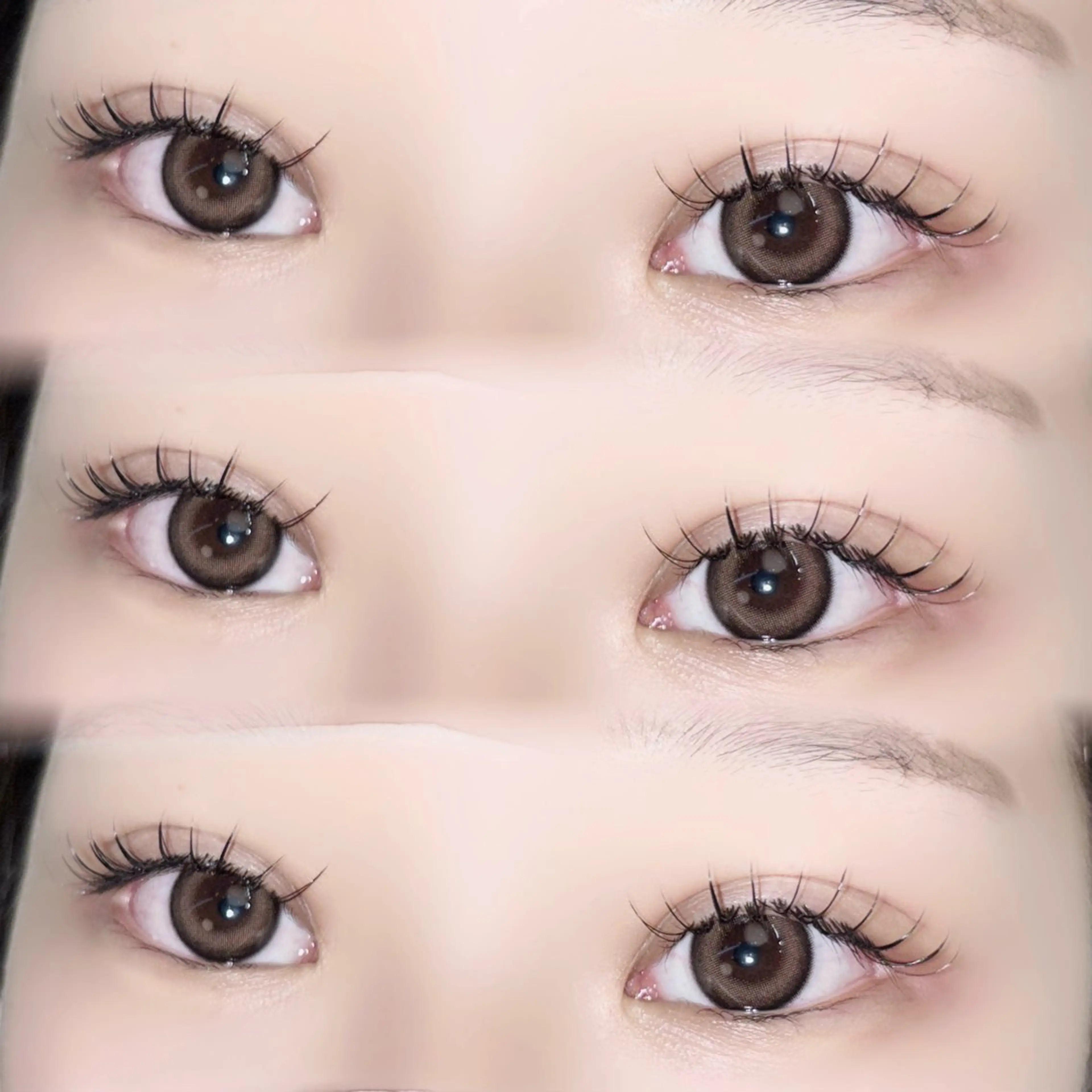 フラットラッシュ80本➰🐰の写真