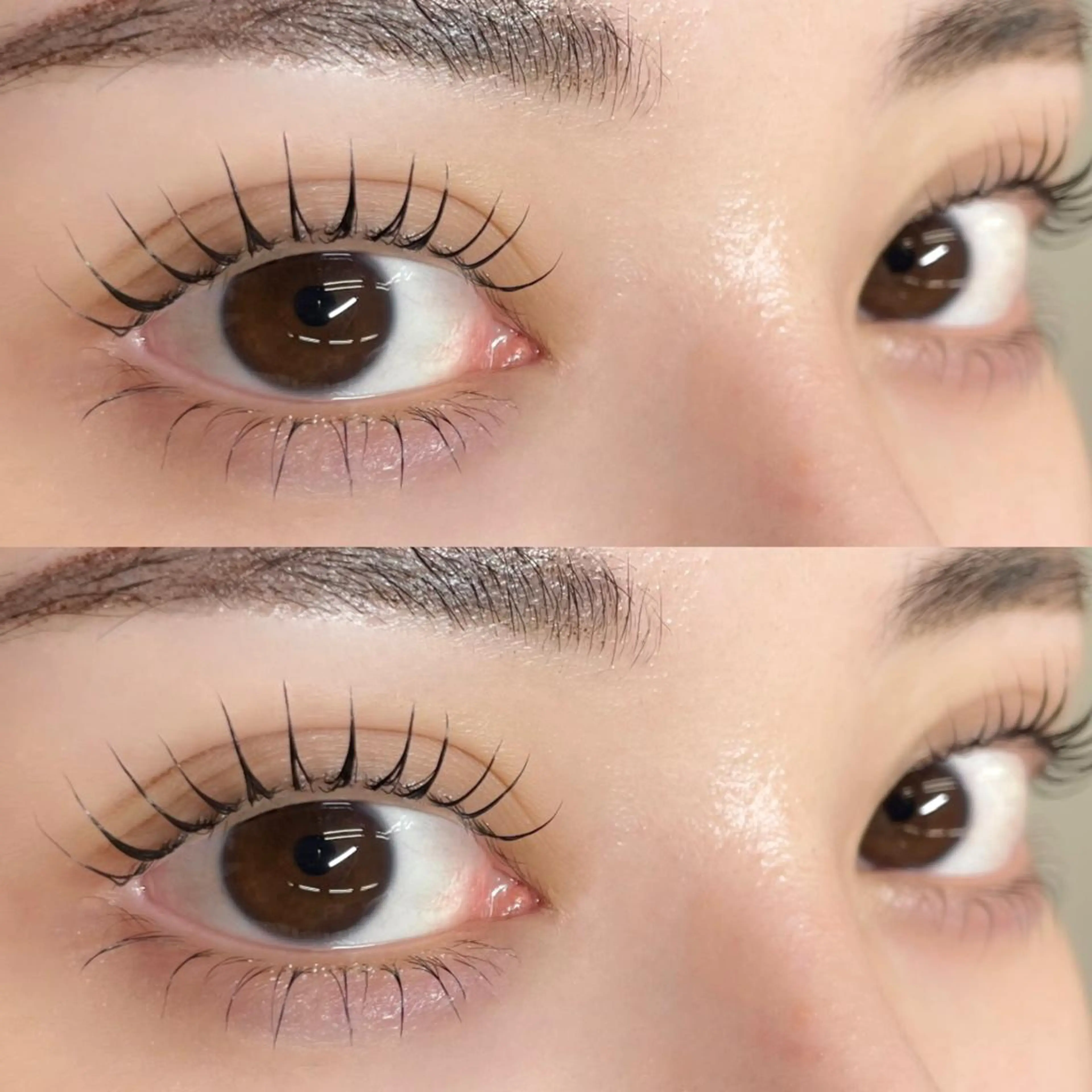 【‎コスメラッシュリフト上下】✨トリートメント仕上げ付き❣️の写真