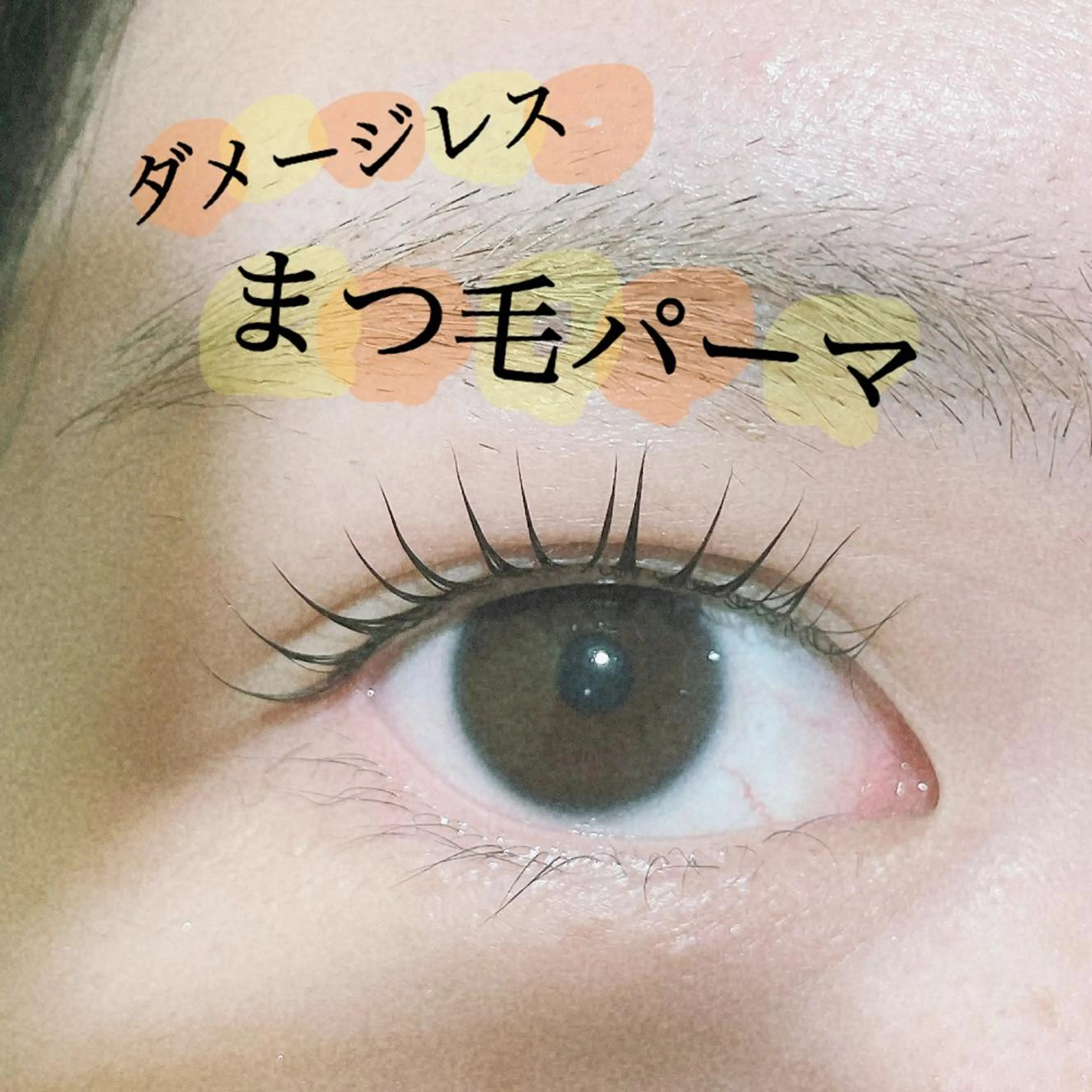 マツエク・マツパ バインドロック フラットラッシュ パリジェンヌラッシュリフト まつげパーマ 下まつげエクステ マツパ SEALA 高石の眉毛・アイブロウイメージ