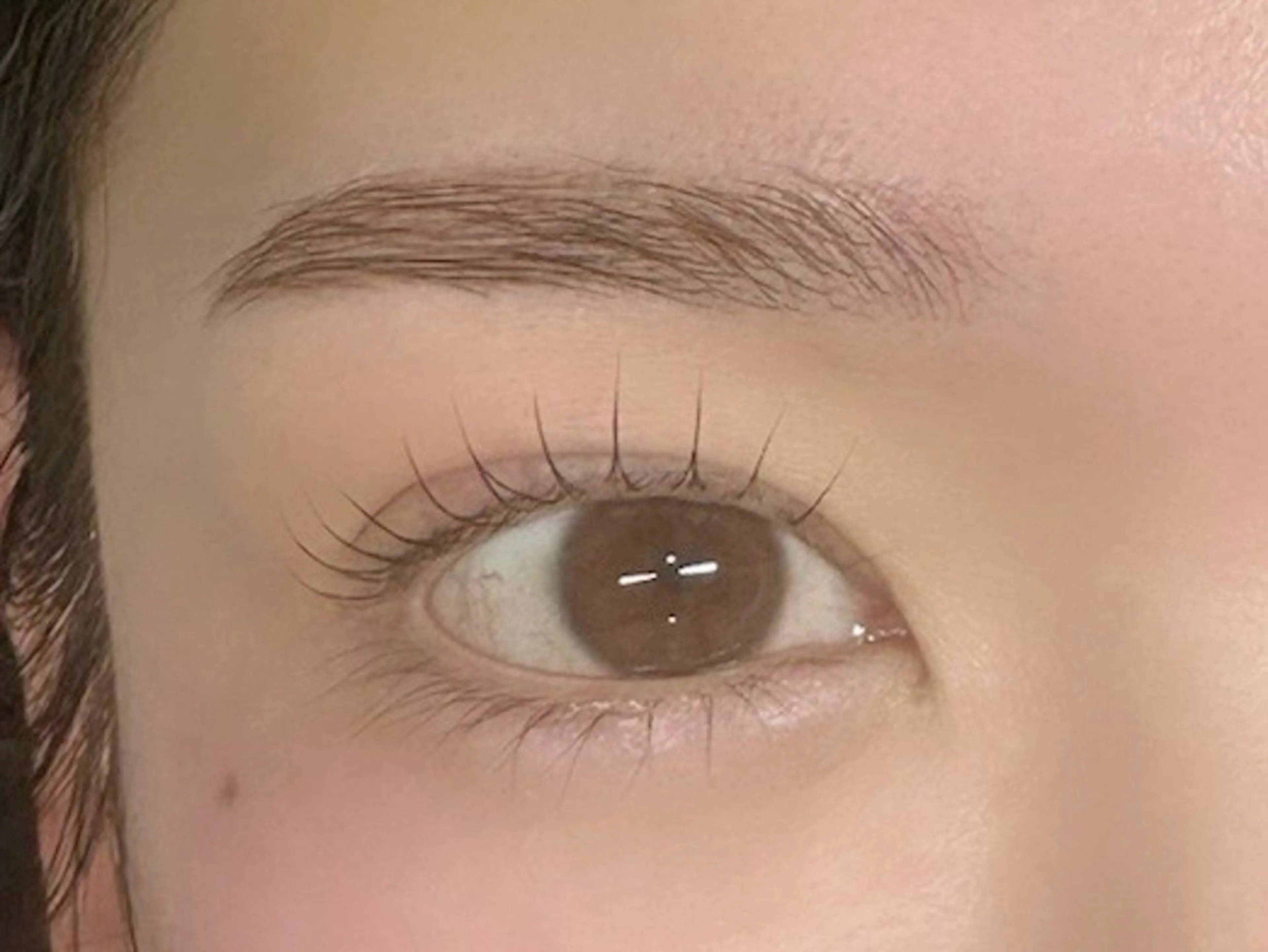 【人気No.1セット🈹】まつげパーマ＋美眉スタイリング［wax+間引き］の写真