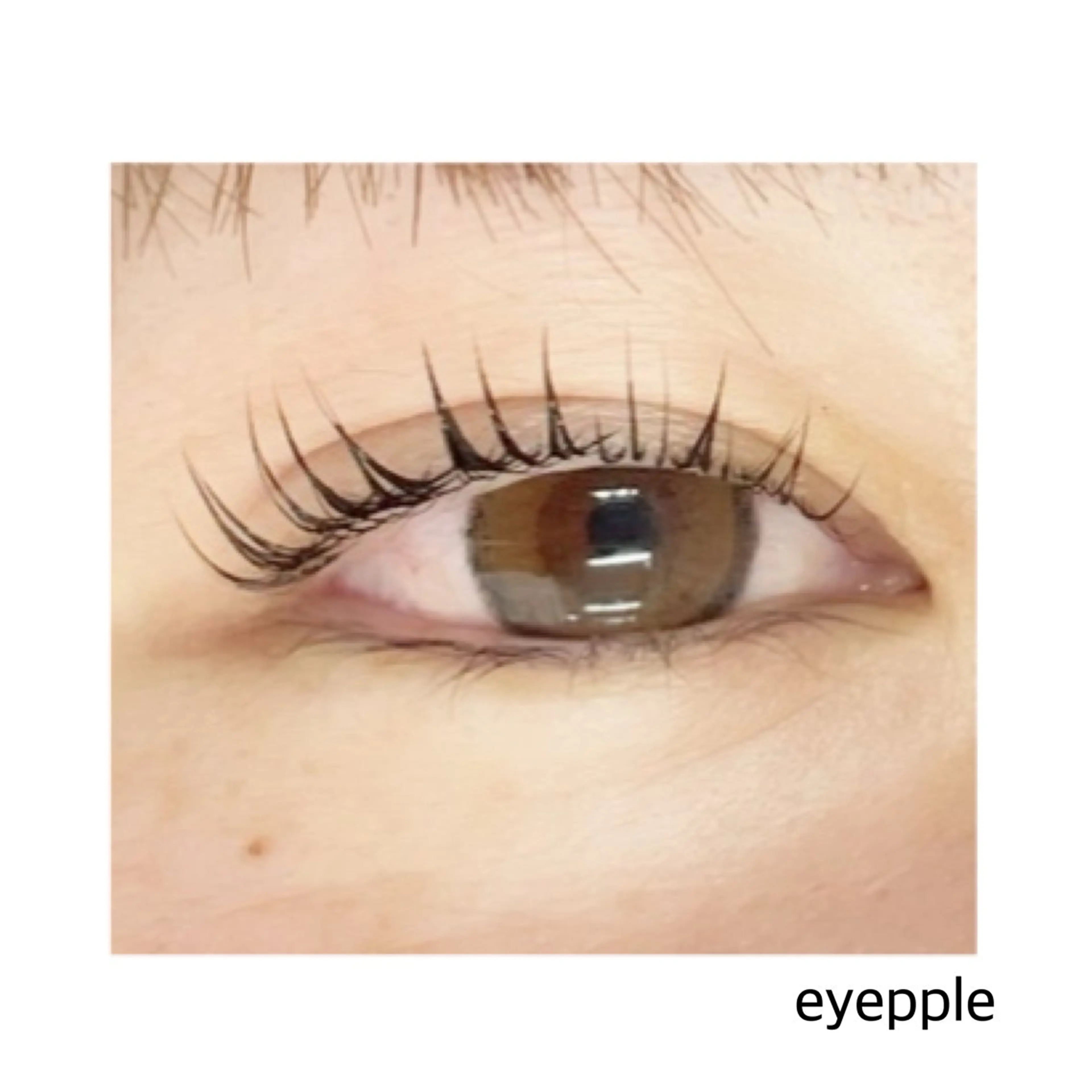 マツエク・マツパ eyepple あやのマツエク・マツパデザイン