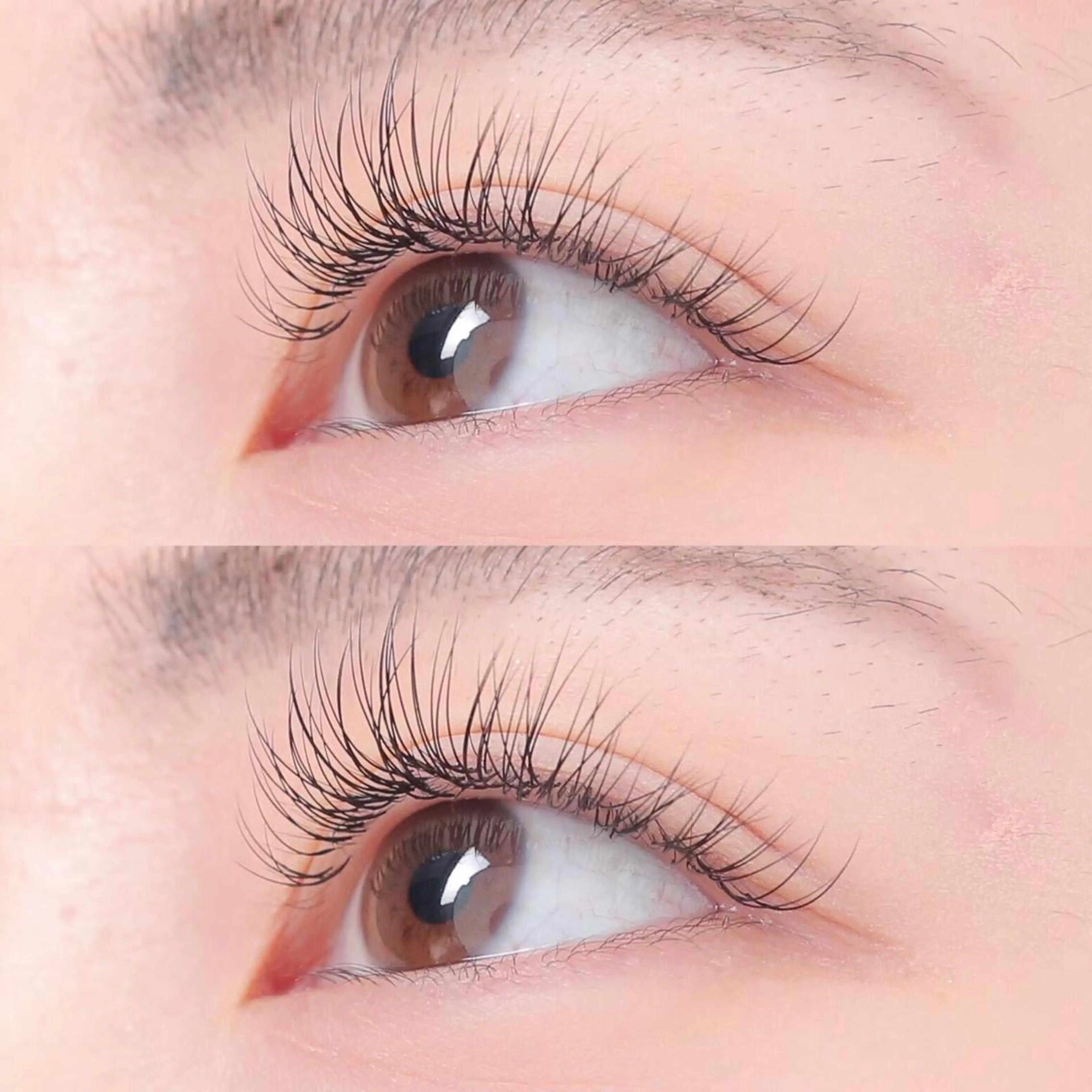 マツエク・マツパ chiri／似合わせ ×韓ドルまつ毛パーマのマツエク・マツパデザイン