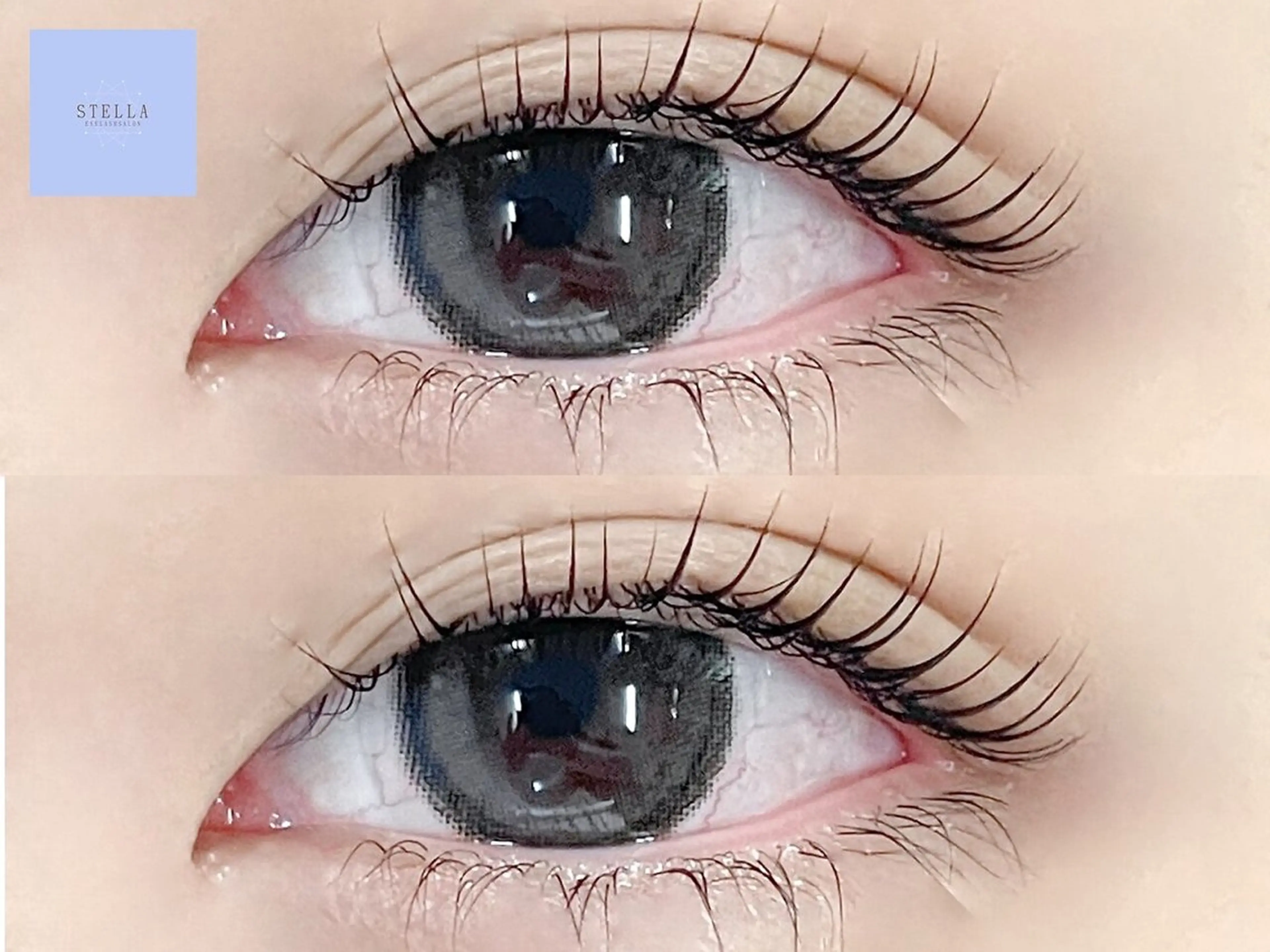 【ミニモ限定価格♡】ラッシュリフト上下🫧の写真