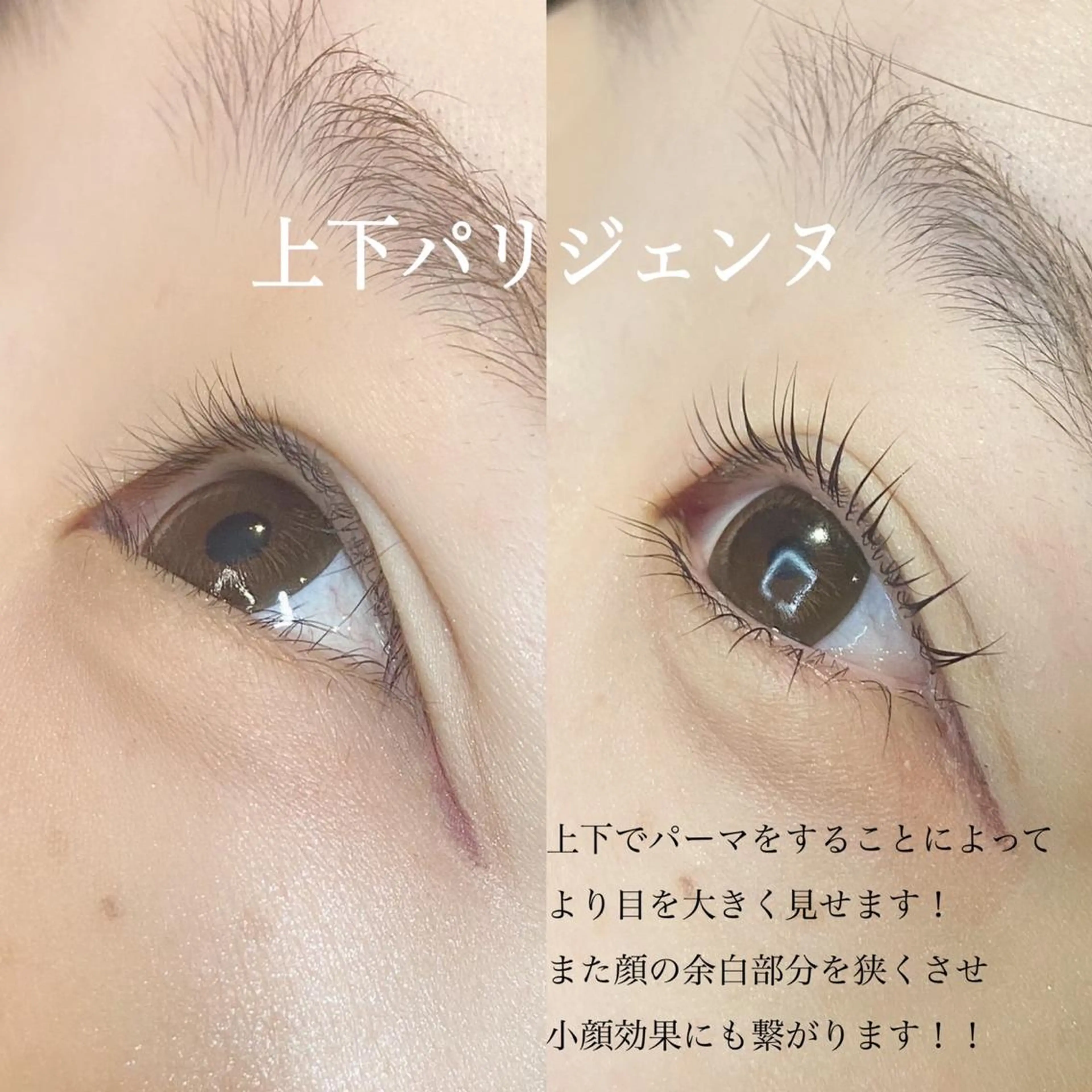 【 デカ目効果🌟】¥11,000▶︎【¥8650】✨"上下"パリジェンヌラッシュリフト × CBS《アイシャンプー付》の写真