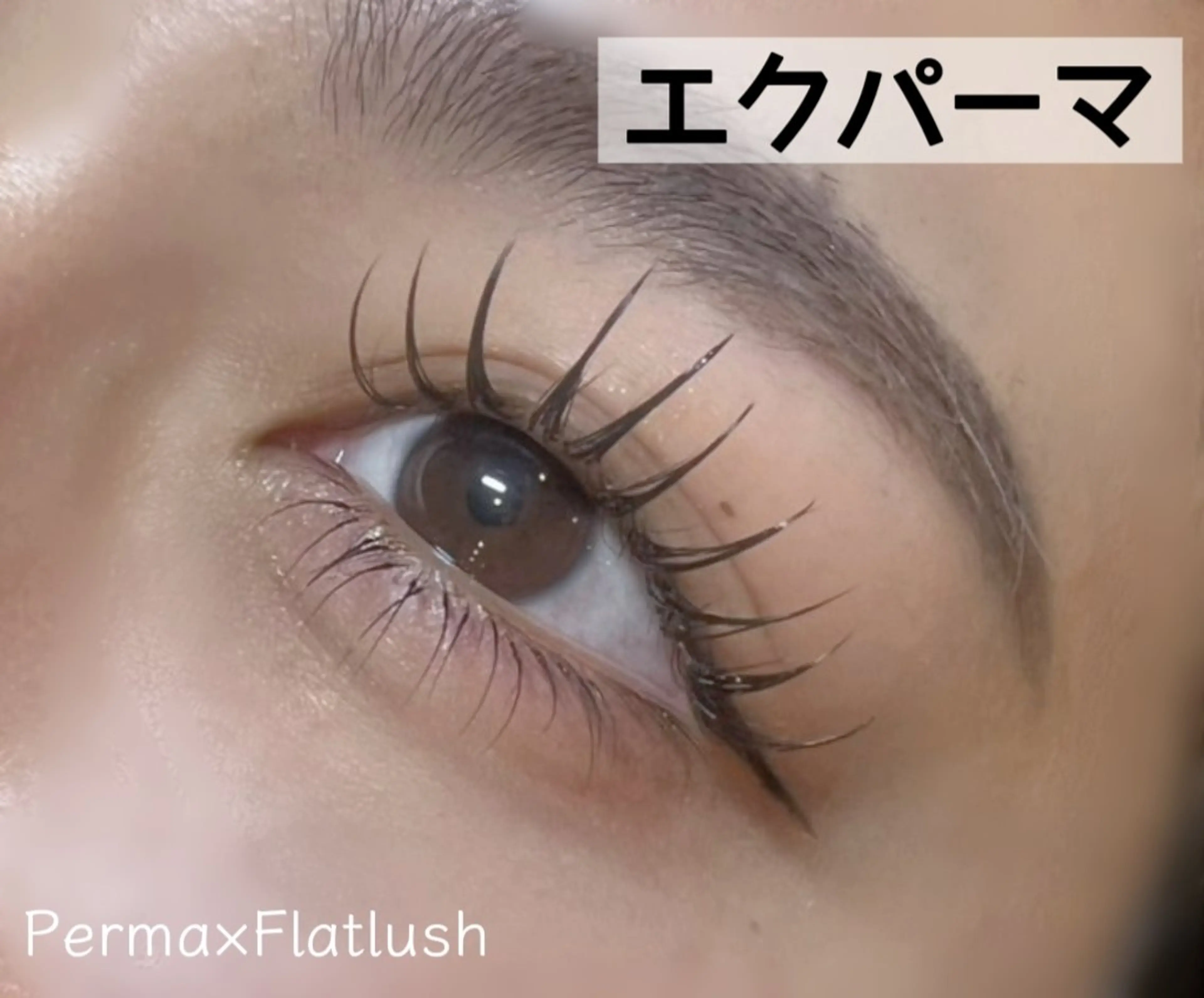 マツエク・マツパ 🌼ステラマリス🌼 Hiranoのマツエク・マツパデザイン