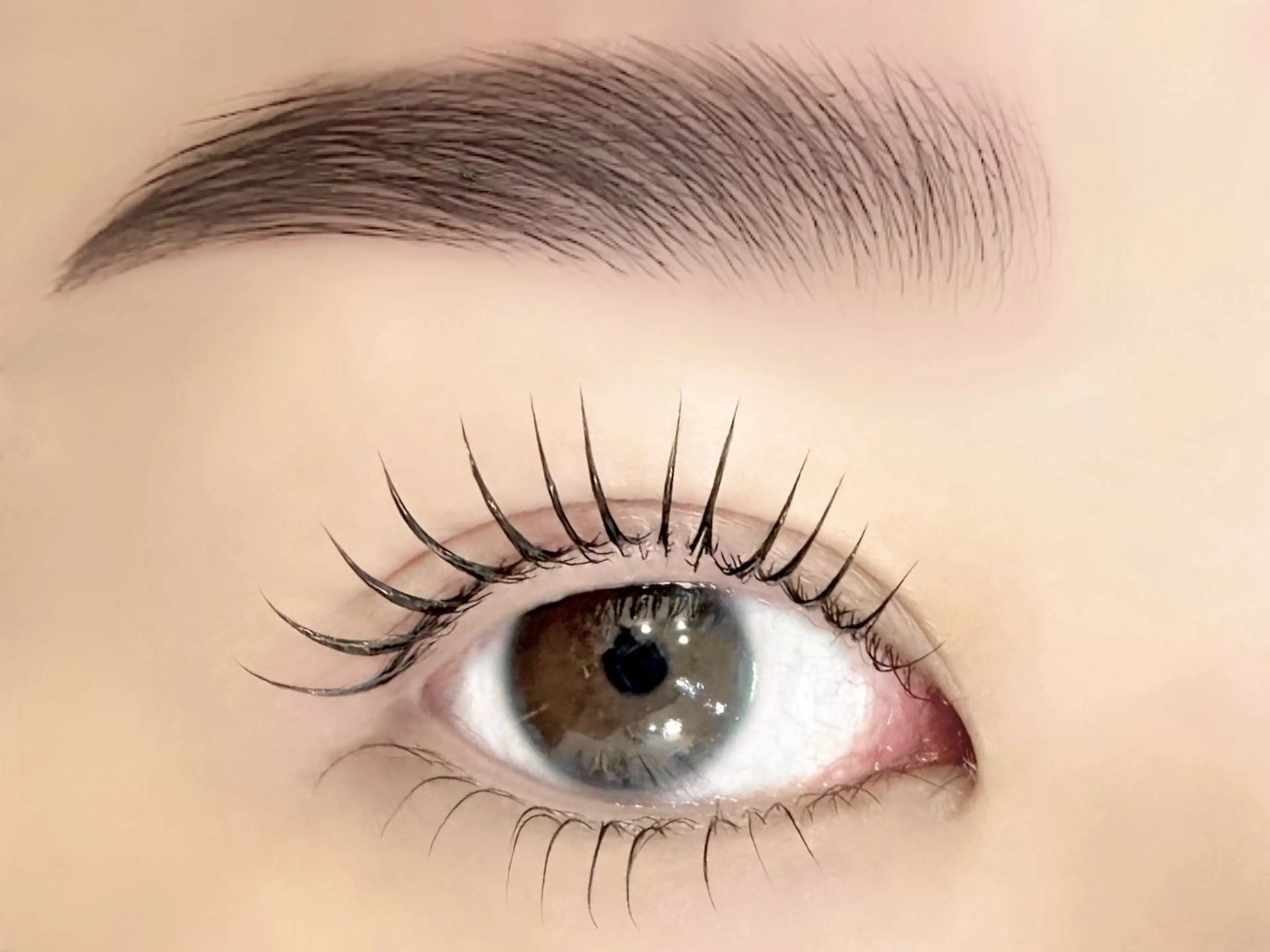 まつげパーマ上下×ハリウッドブロウリフト(HBL)の写真