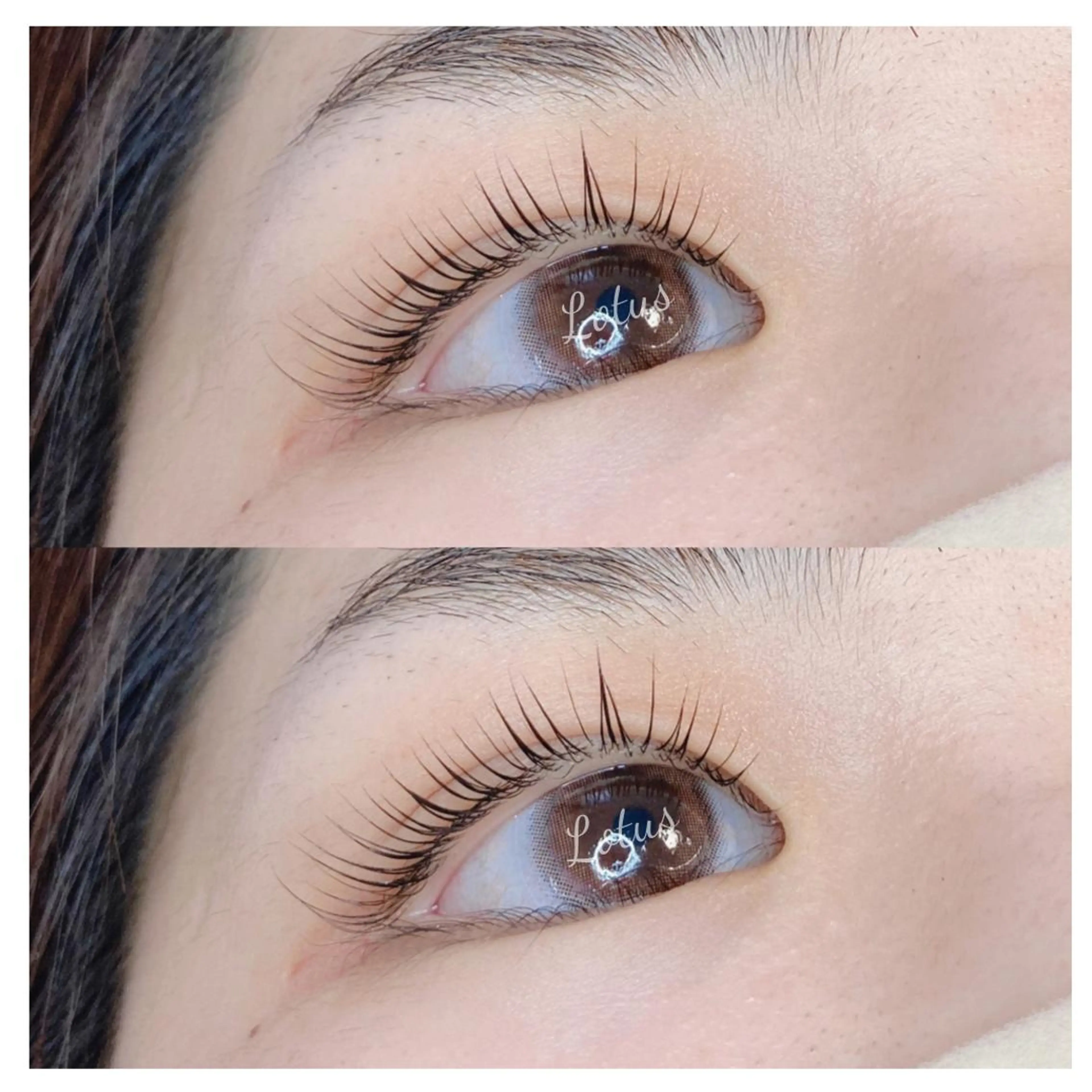 マツエク・マツパ マツパ Lotus ロータスのマツエク・マツパデザイン