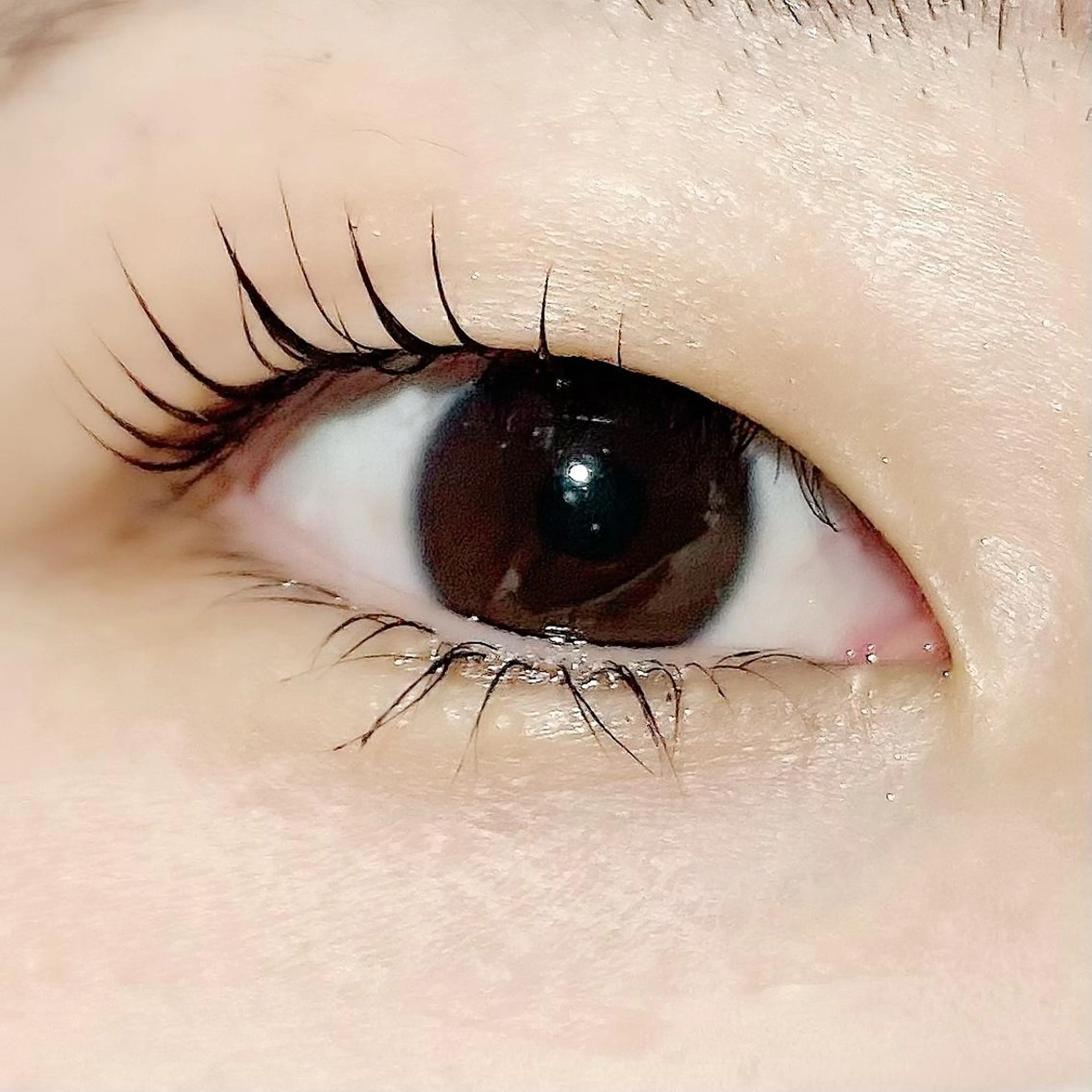 マツエク・マツパ 一重×まつ毛パーマ ナオエ ハルカのマツエク・マツパデザイン