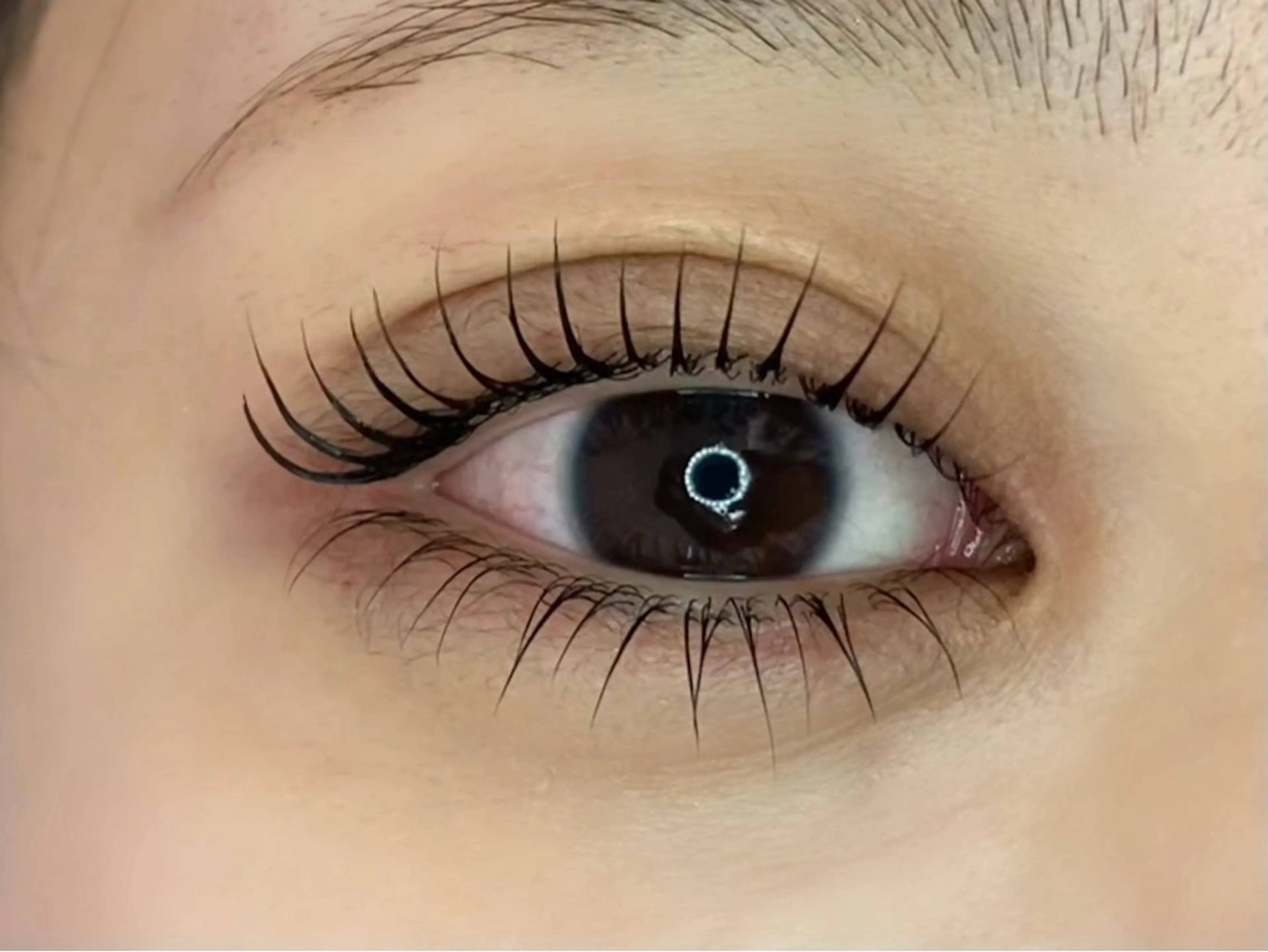 下まつげパーマ👁の写真