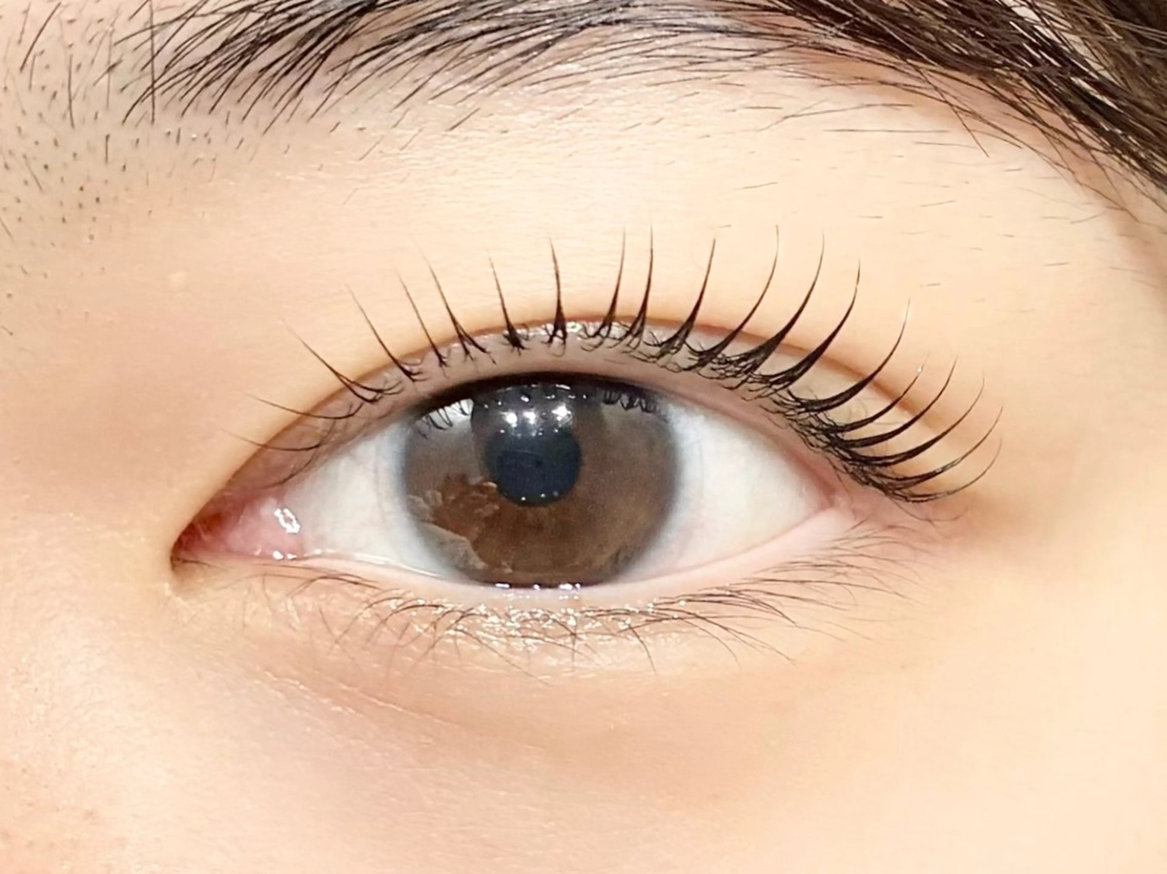 マツエク・マツパ マツパ 中村彩香 (エフドゥ)のマツエク・マツパデザイン
