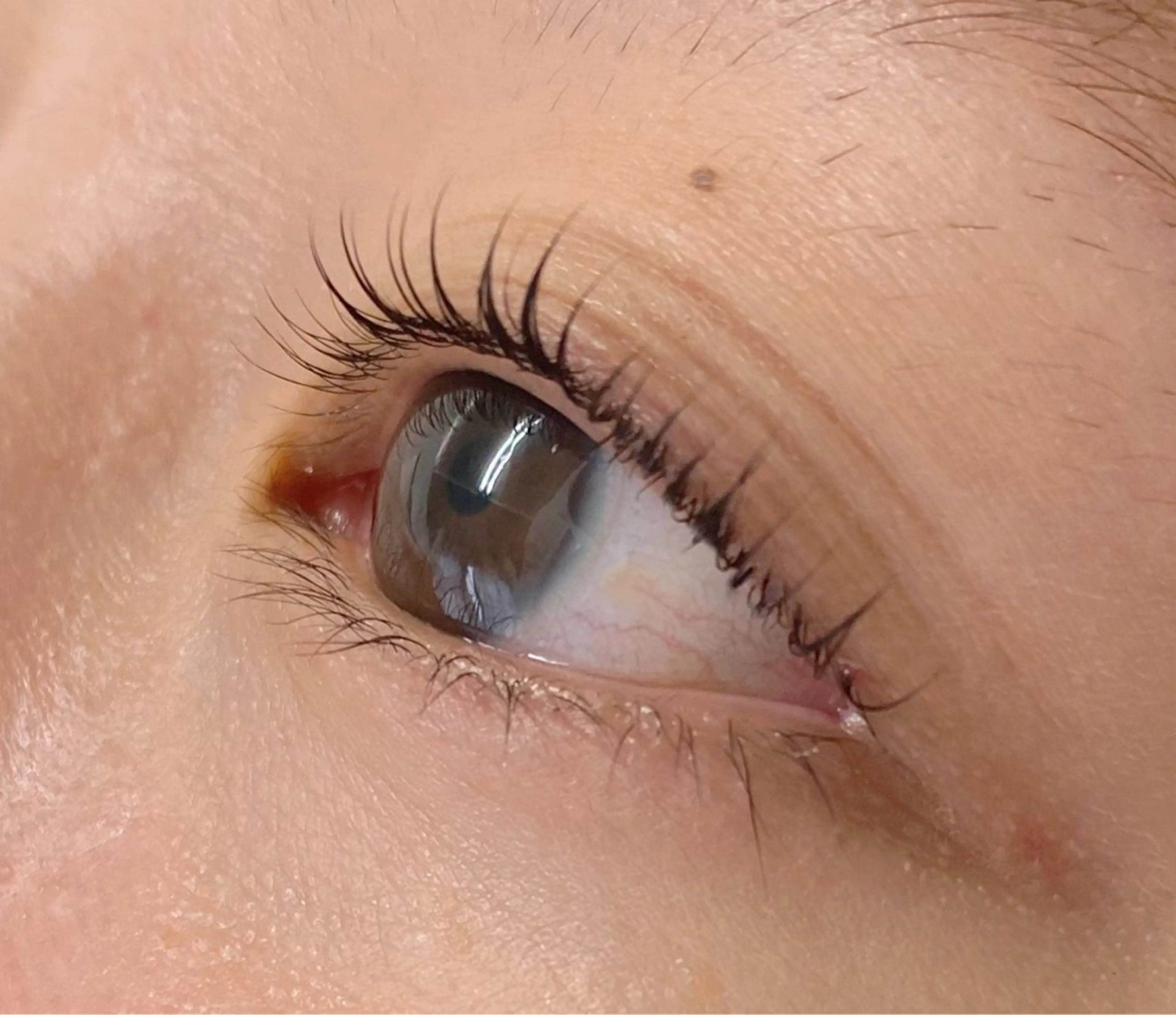 マツエク・マツパ ナチュラル マツパ 束感まつげ🤍 hikaruのマツエク・マツパデザイン