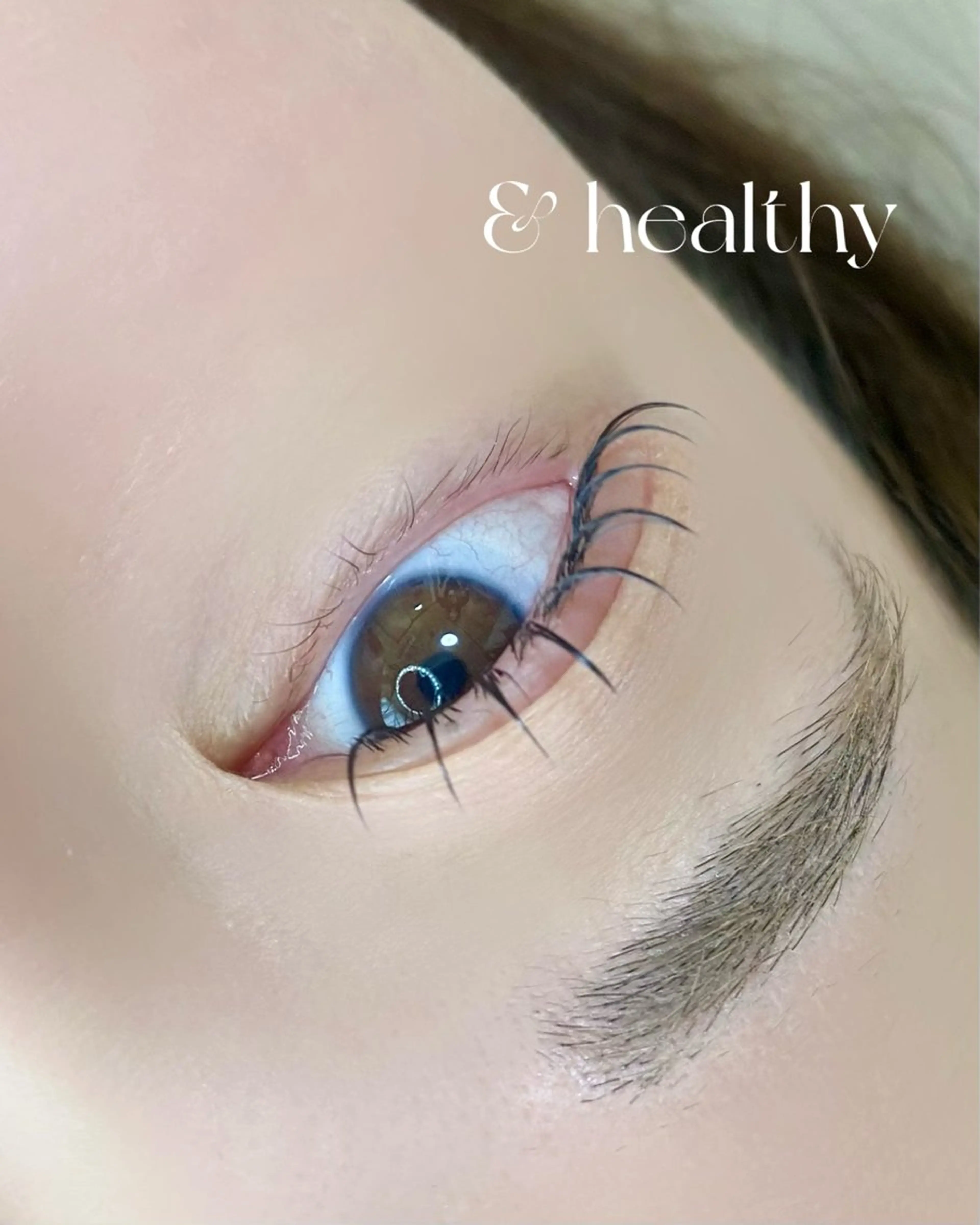 New✨《アンドヘルシー🪽》フラットラッシュ120本×ラッシュリフトの写真