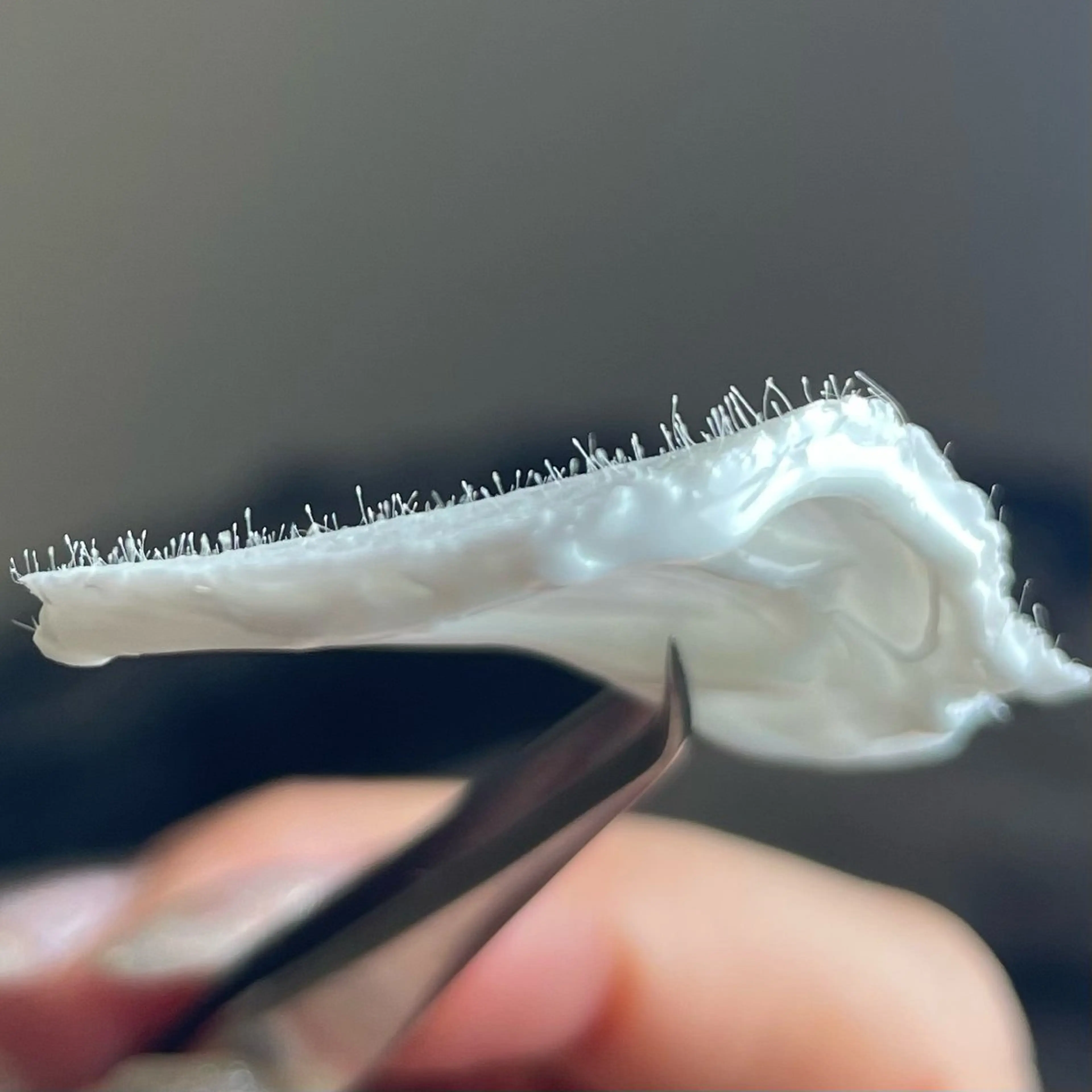 MA ORIの眉毛・アイブロウイメージ