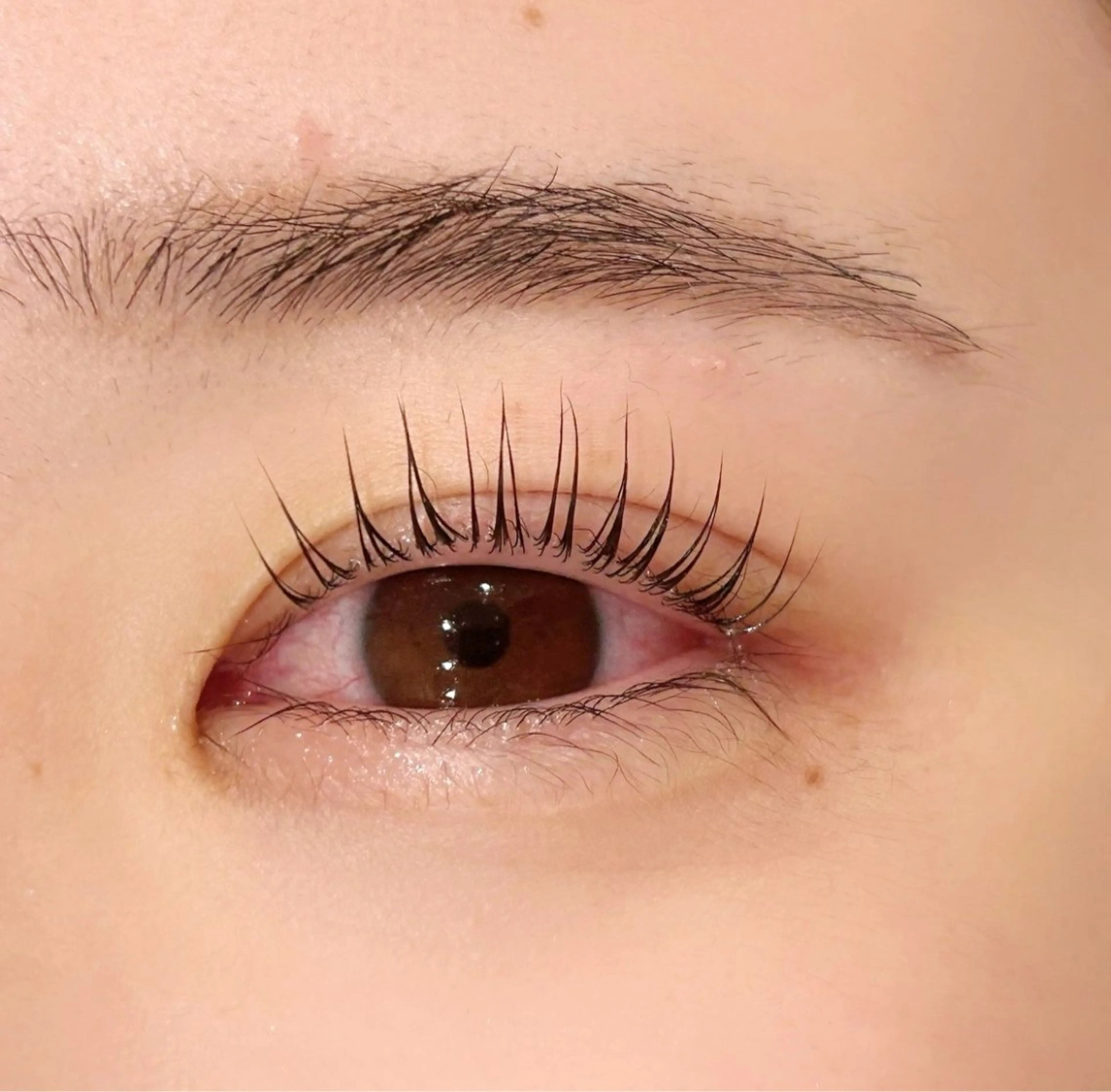 マツエク・マツパ パリジェンヌラッシュリフト デイジーラッシュ京橋 徳永のマツエク・マツパデザイン