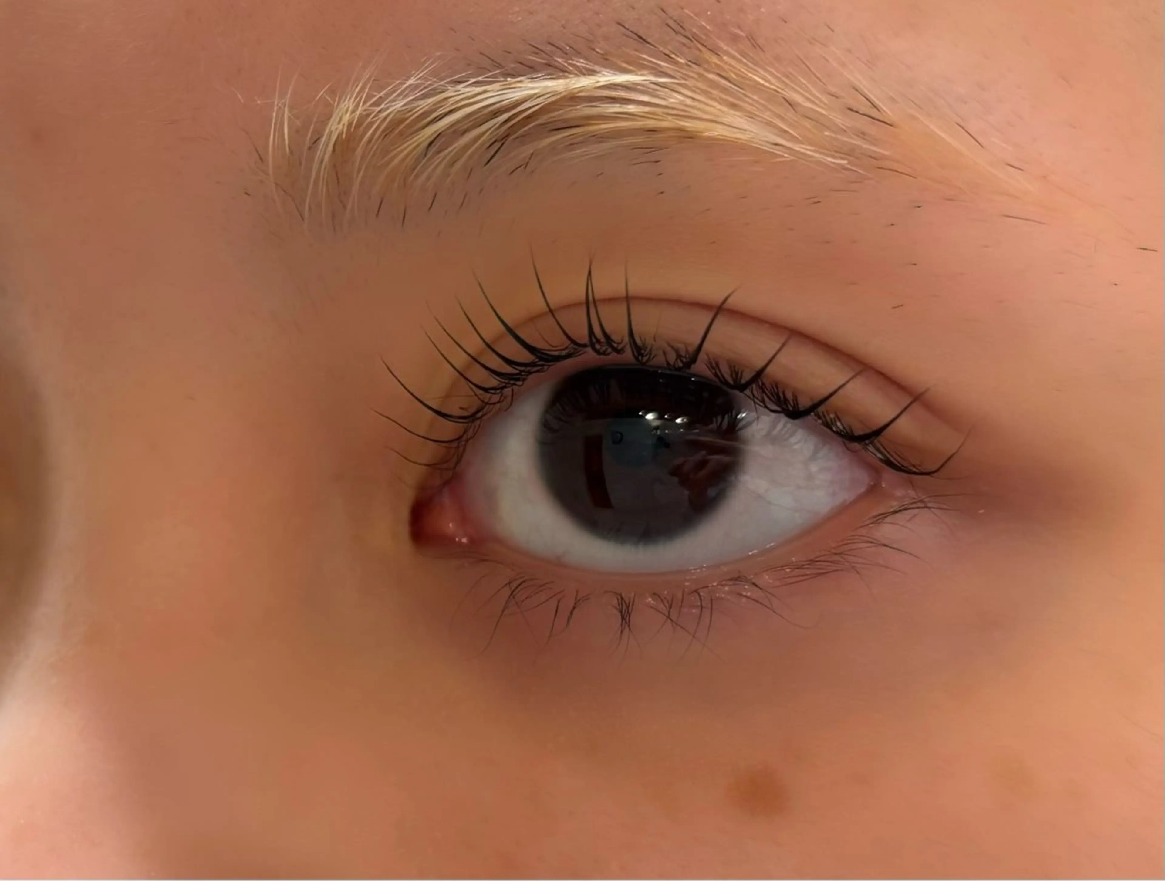 マツエク・マツパ 韓国・束感まつげ🌿 大野 菜月のマツエク・マツパデザイン