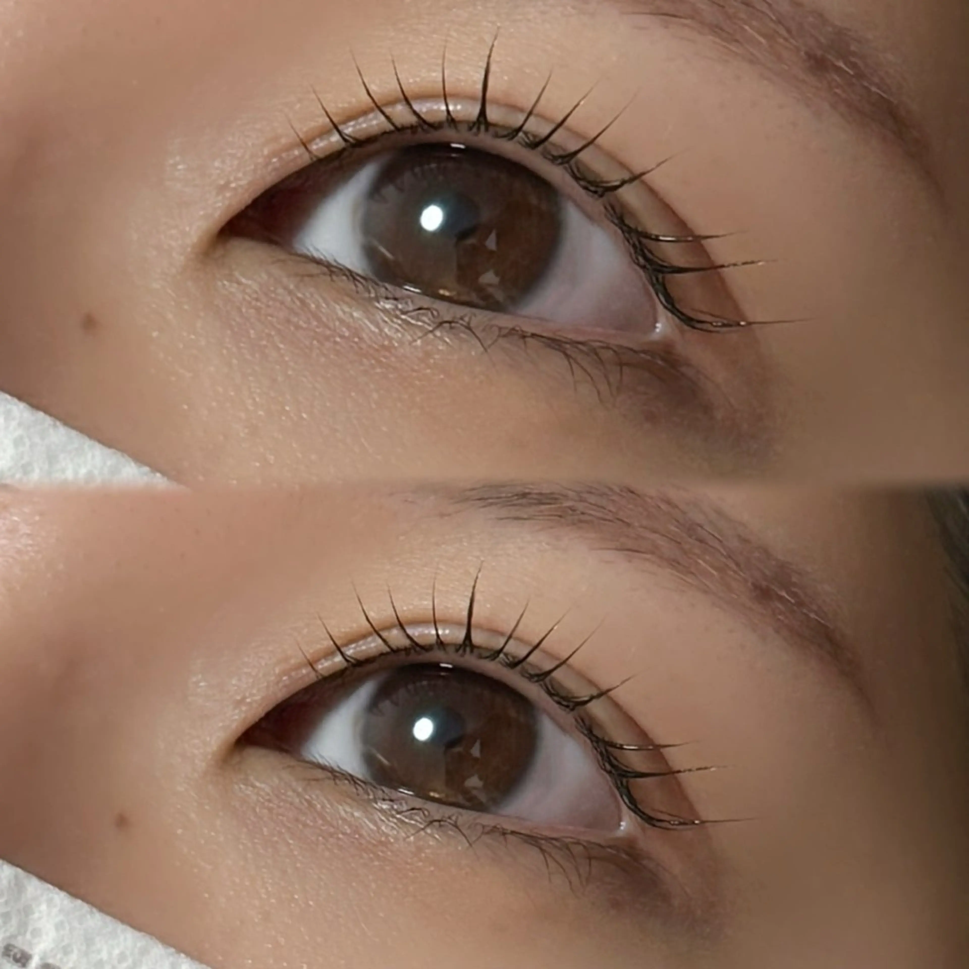 マツエク・マツパ バインドロック 束感まつ毛 フラットラッシュ 韓国風マツエク パリジェンヌラッシュリフト mizuki/束感 まつエク/似合わせ眉のマツエク・マツパデザイン