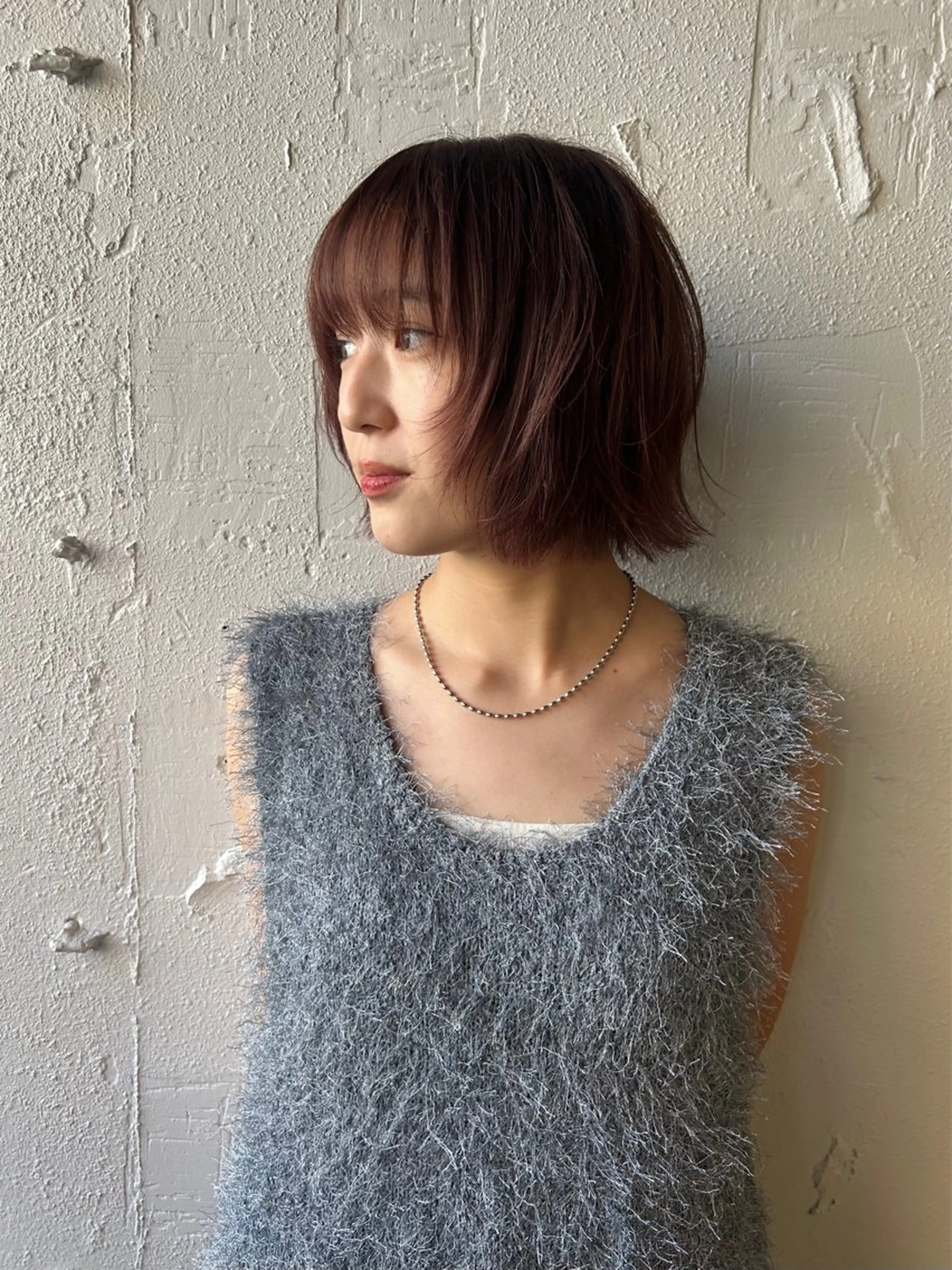 カットモデルの写真