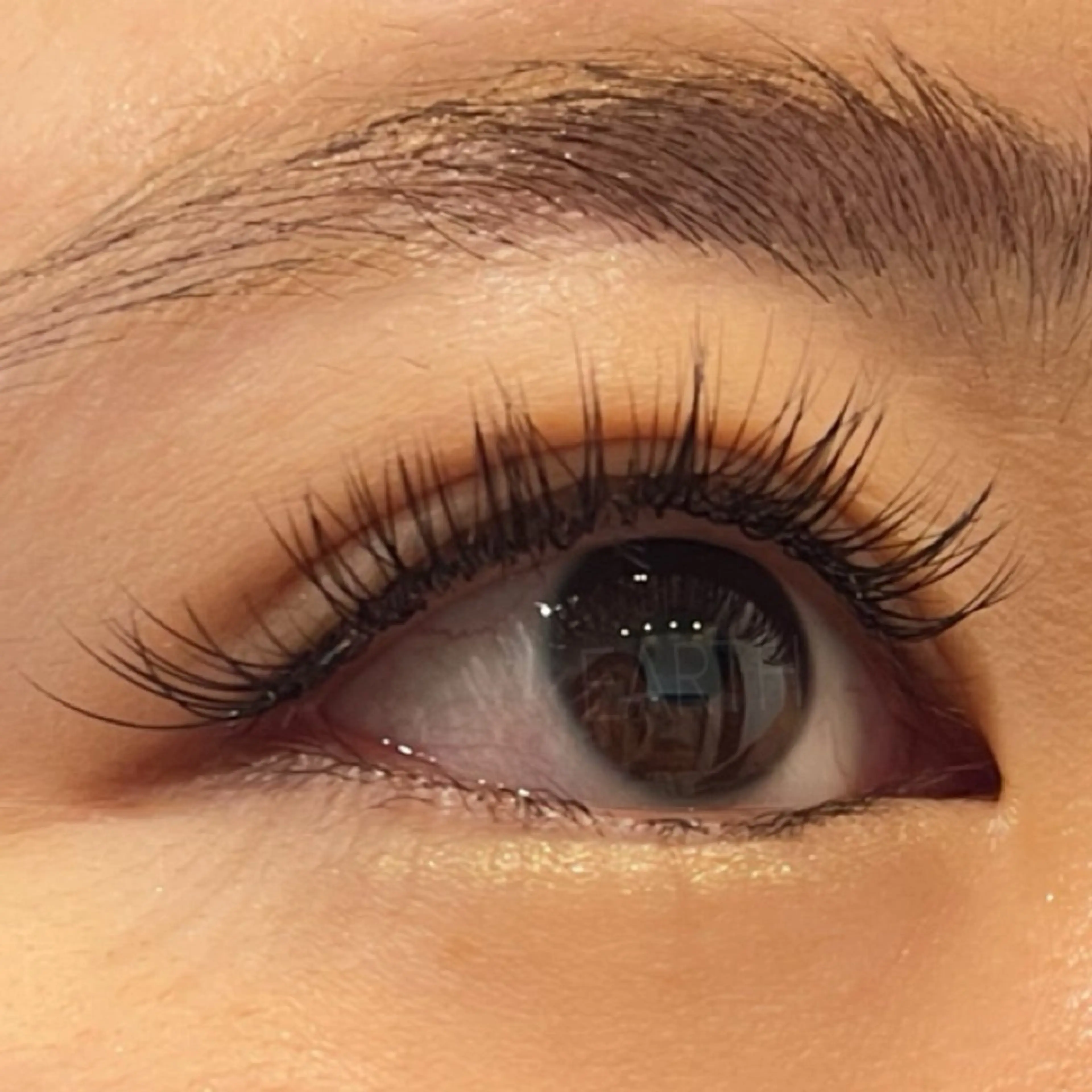 マツエク・マツパ セーブル hair＆make EARTHのマツエク・マツパデザイン