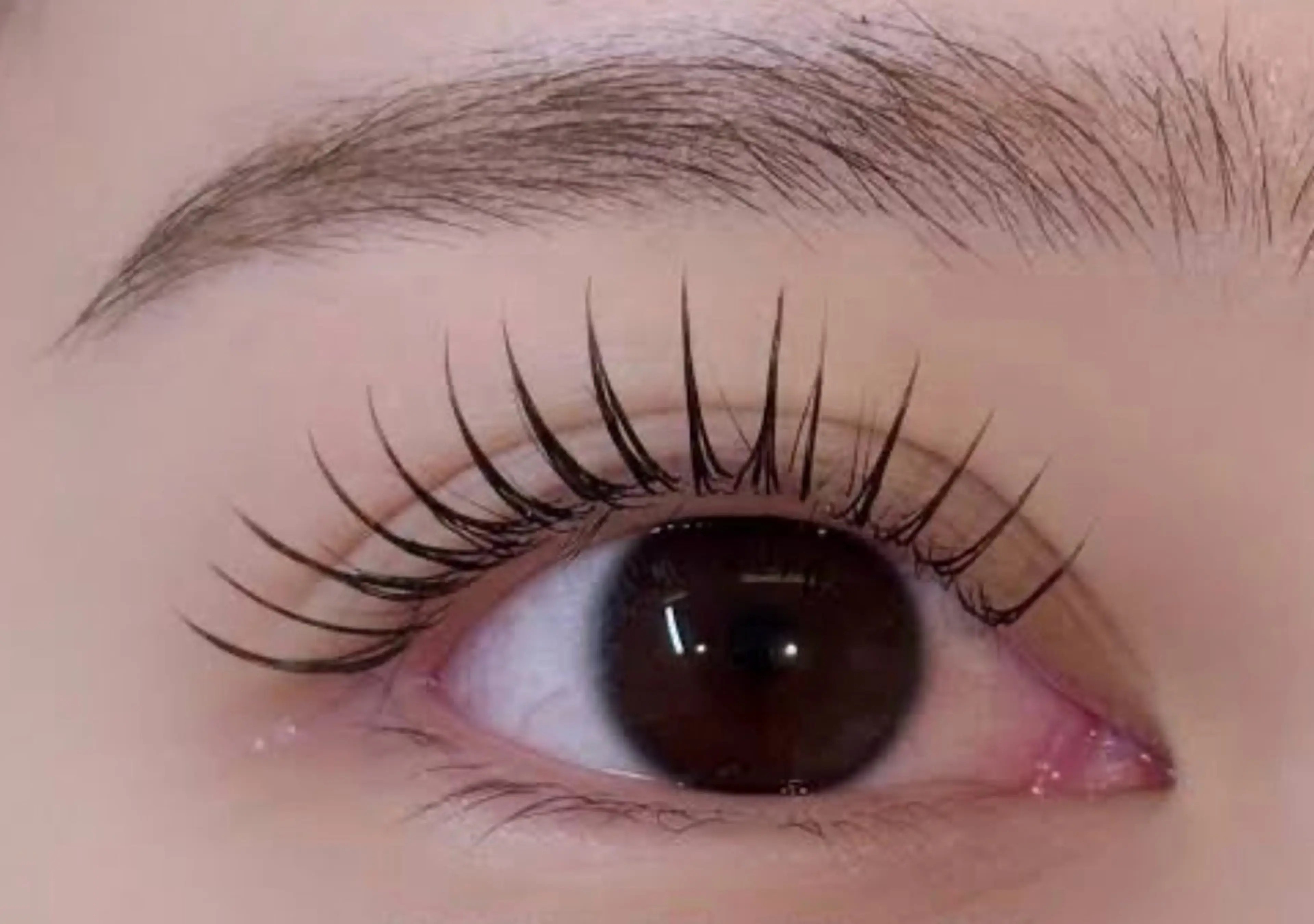 マツエク・マツパ ラペーシュ アヴニールの眉毛・アイブロウイメージ