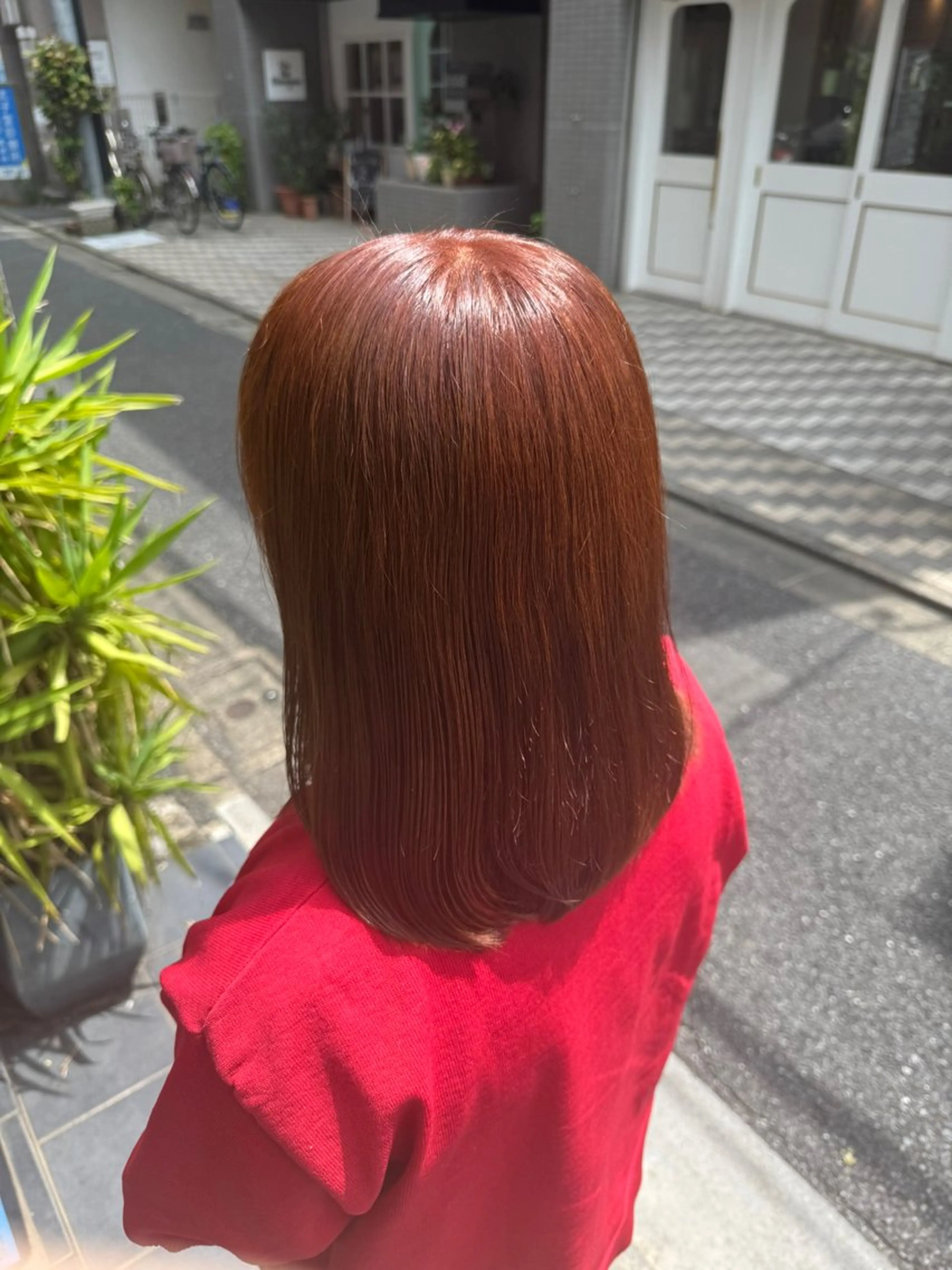 【FIBREPLEX】ボンディングケアカラー(フル)+カット+No.2TR　9400円の写真