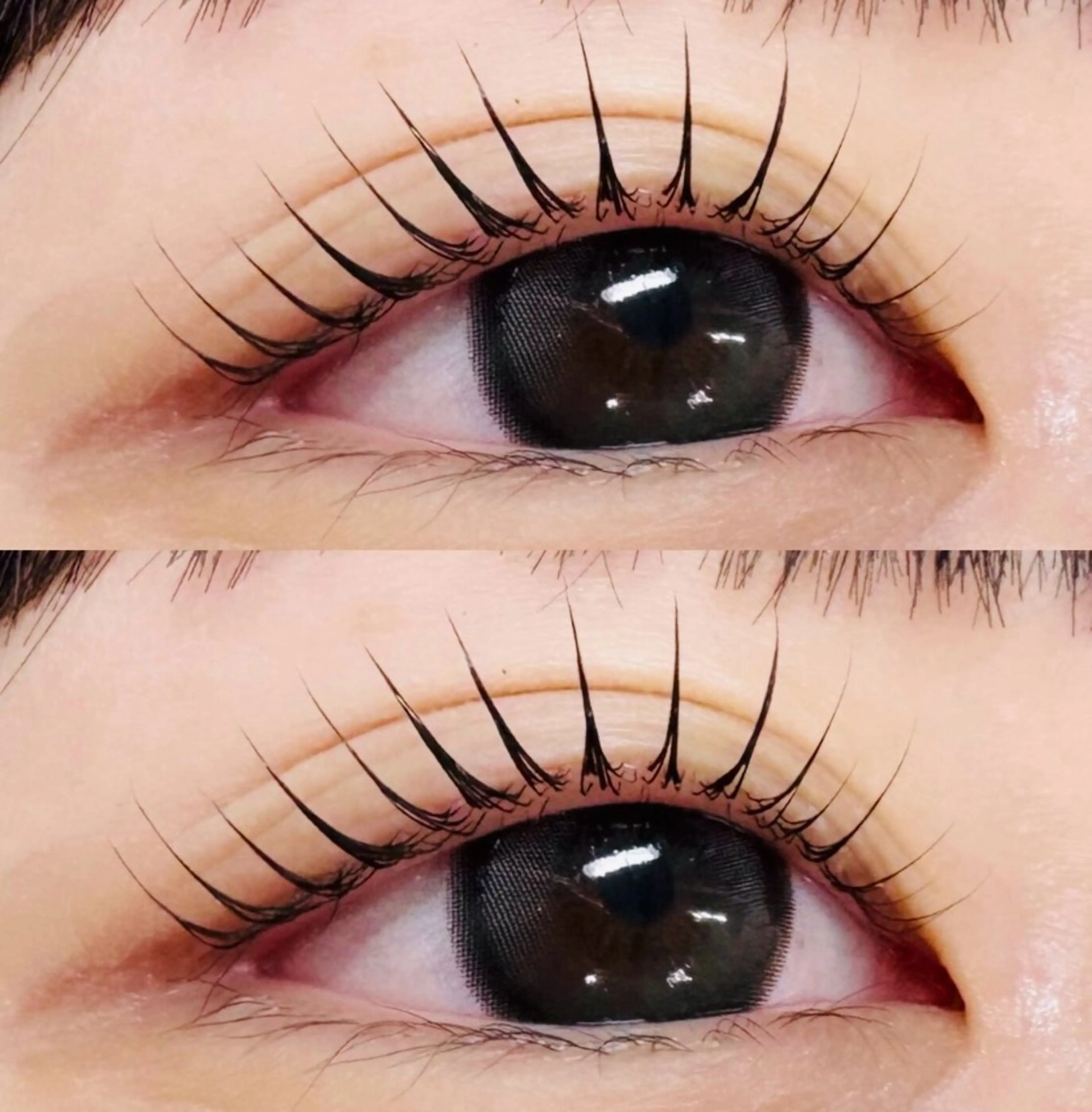 🎀パリジエンヌラッシュリフト上まつげのみ+ <高保湿・美容液トリートメント仕上げ>¥4500の写真