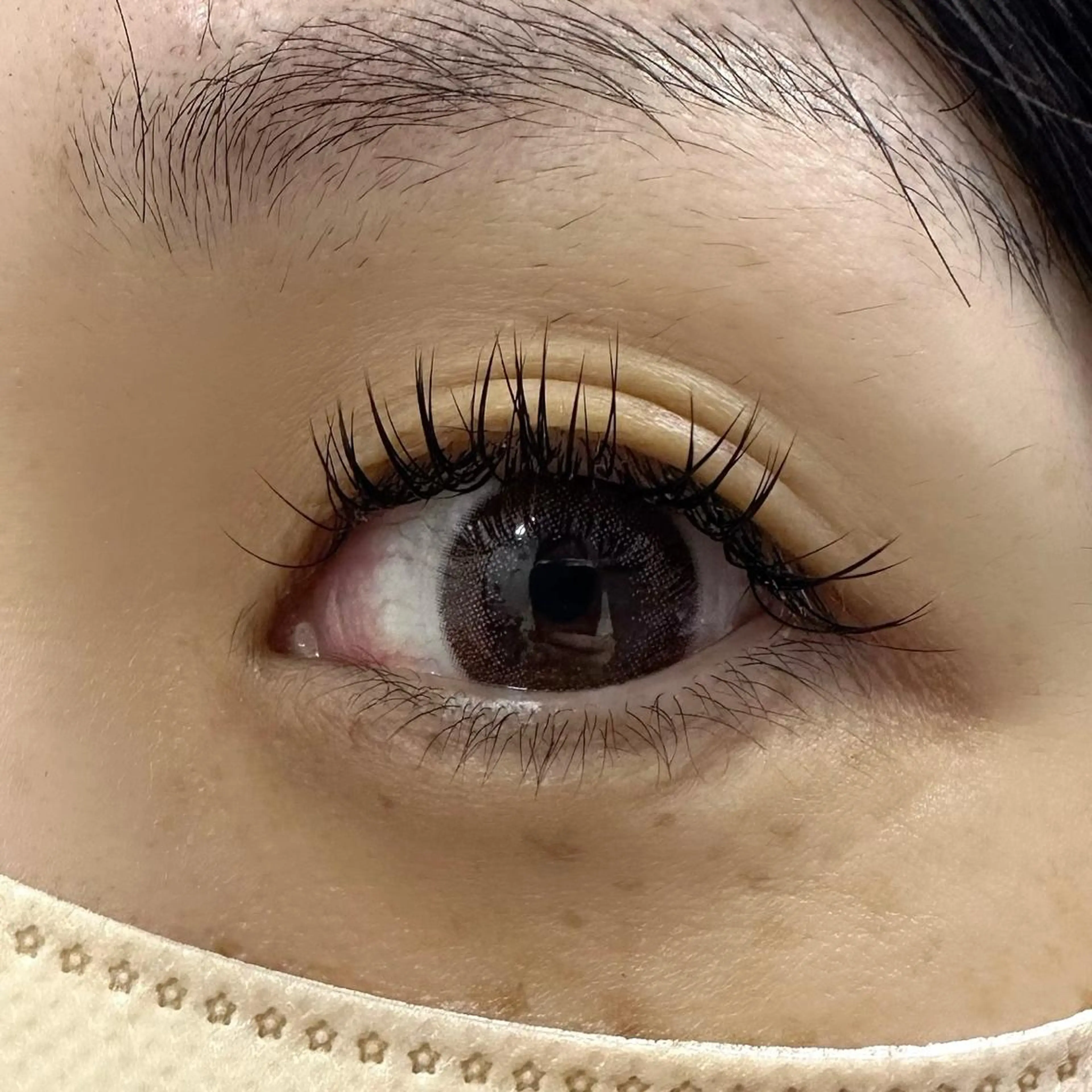 マツエク・マツパ Cカール Miyu🦄ash メンズカット/まつげのヘアスタイル