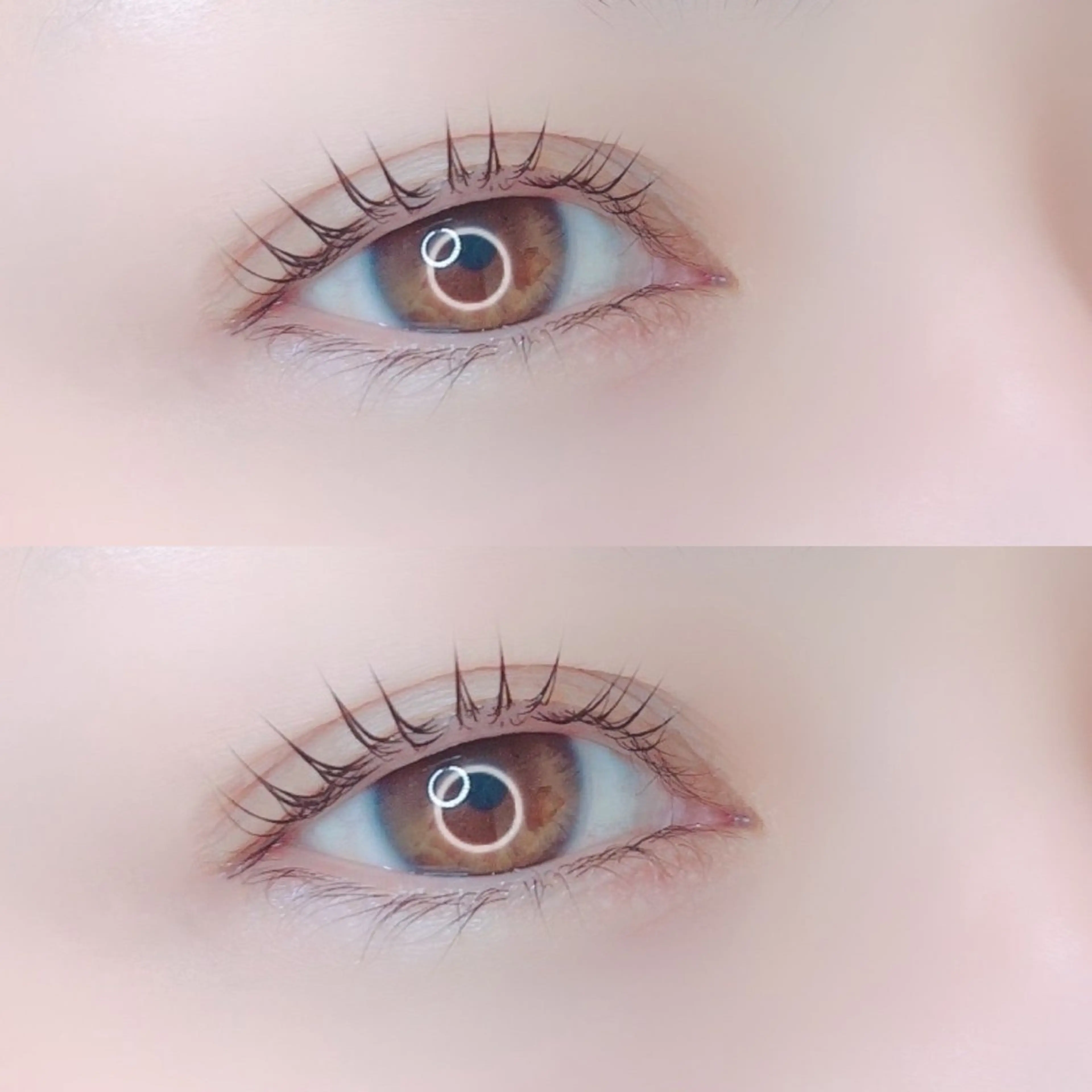 マツエク・マツパ トータルビューティー サロンSalaのマツエク・マツパデザイン