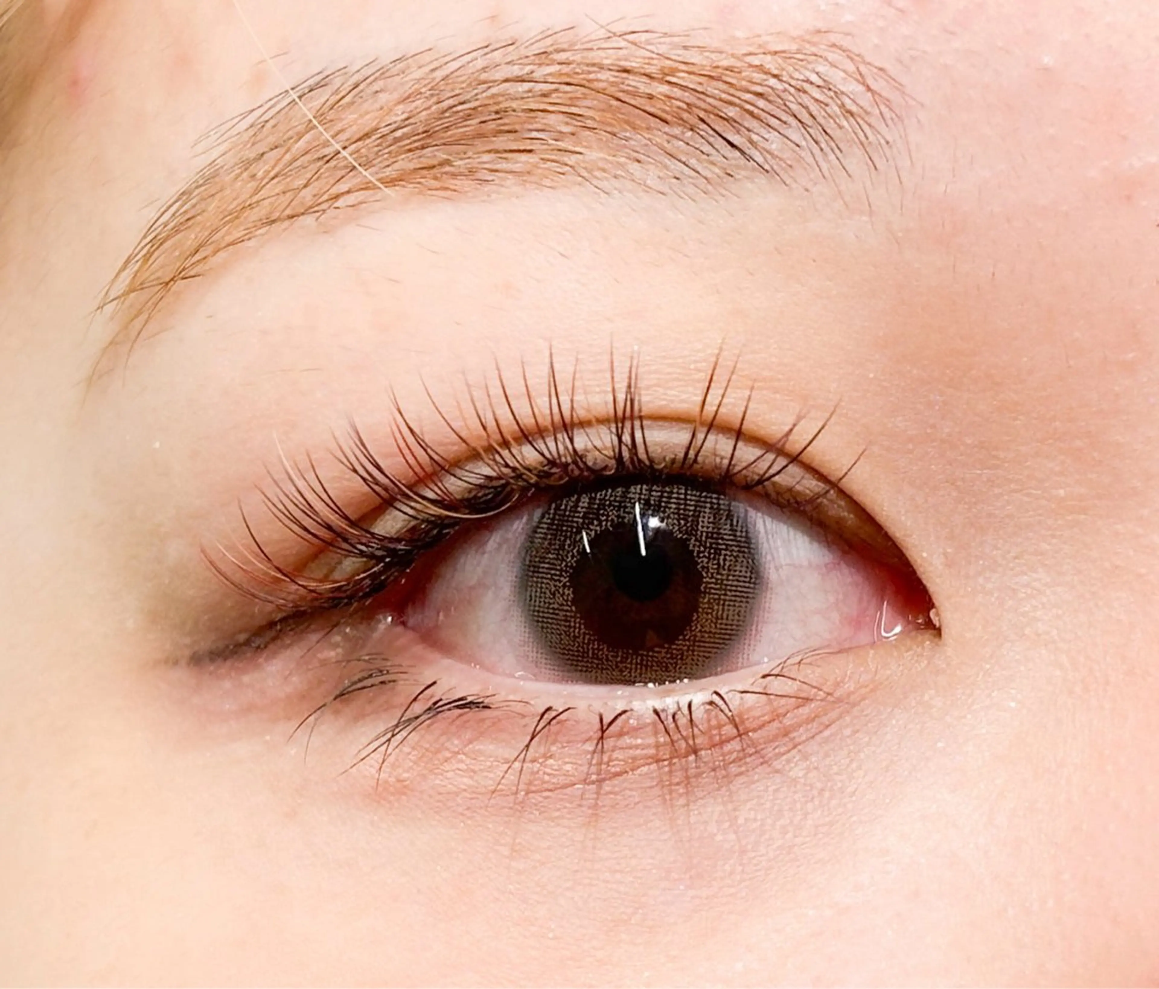 マツエク・マツパ Aprilush🦋 Cieloのマツエク・マツパデザイン