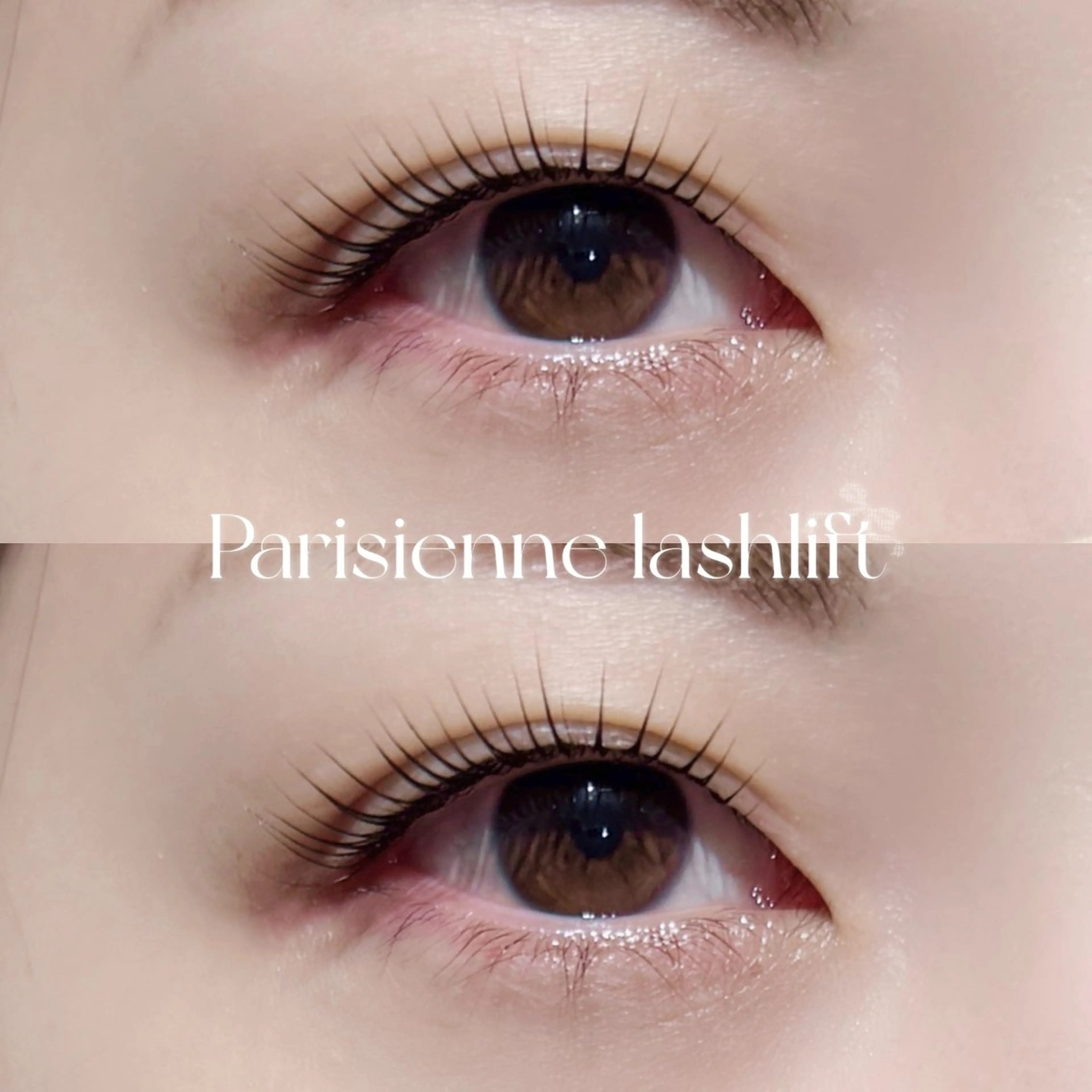 マツエク・マツパ マツパ Plus Elima / rioのマツエク・マツパデザイン